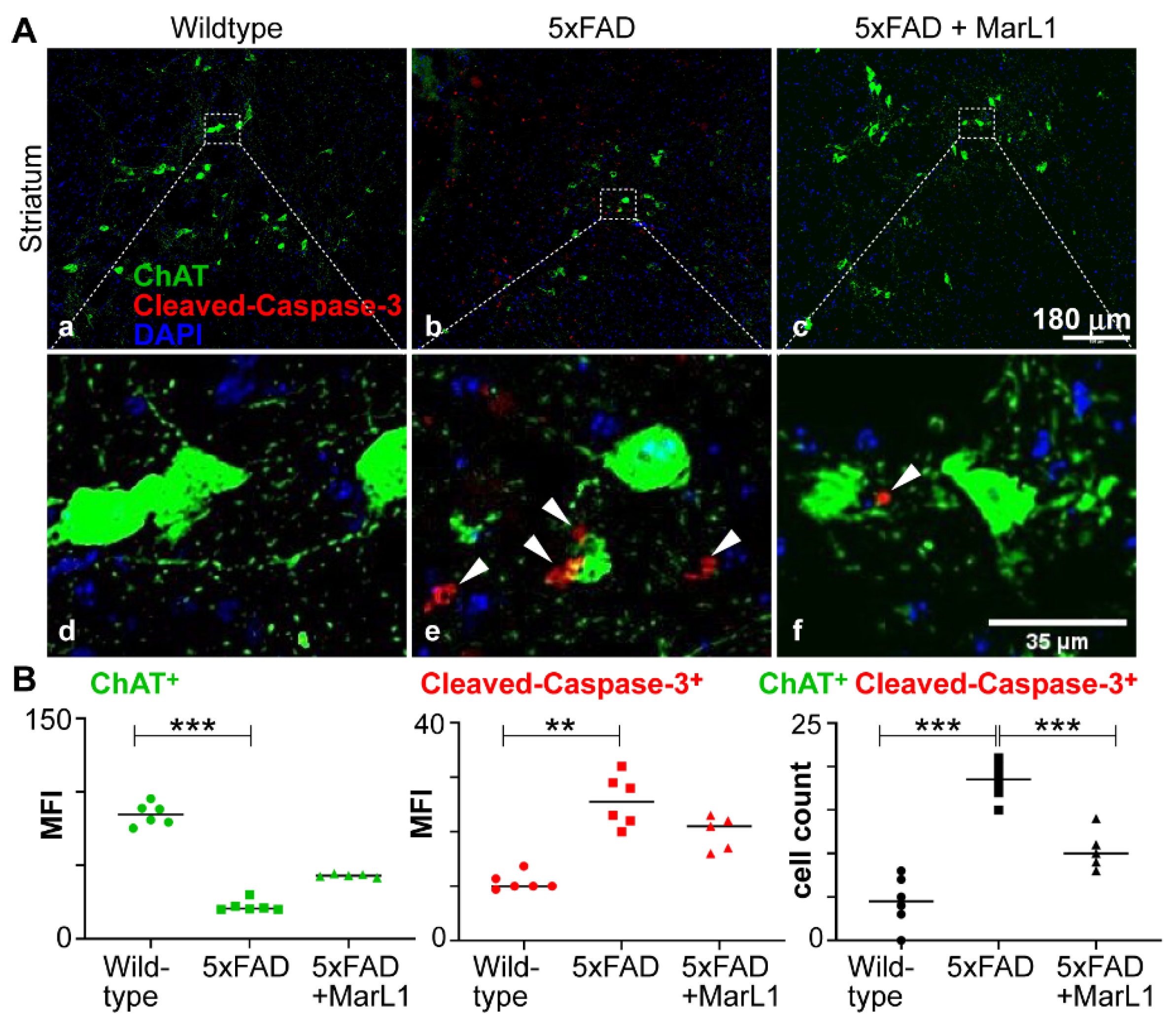 Preprints 138328 g002