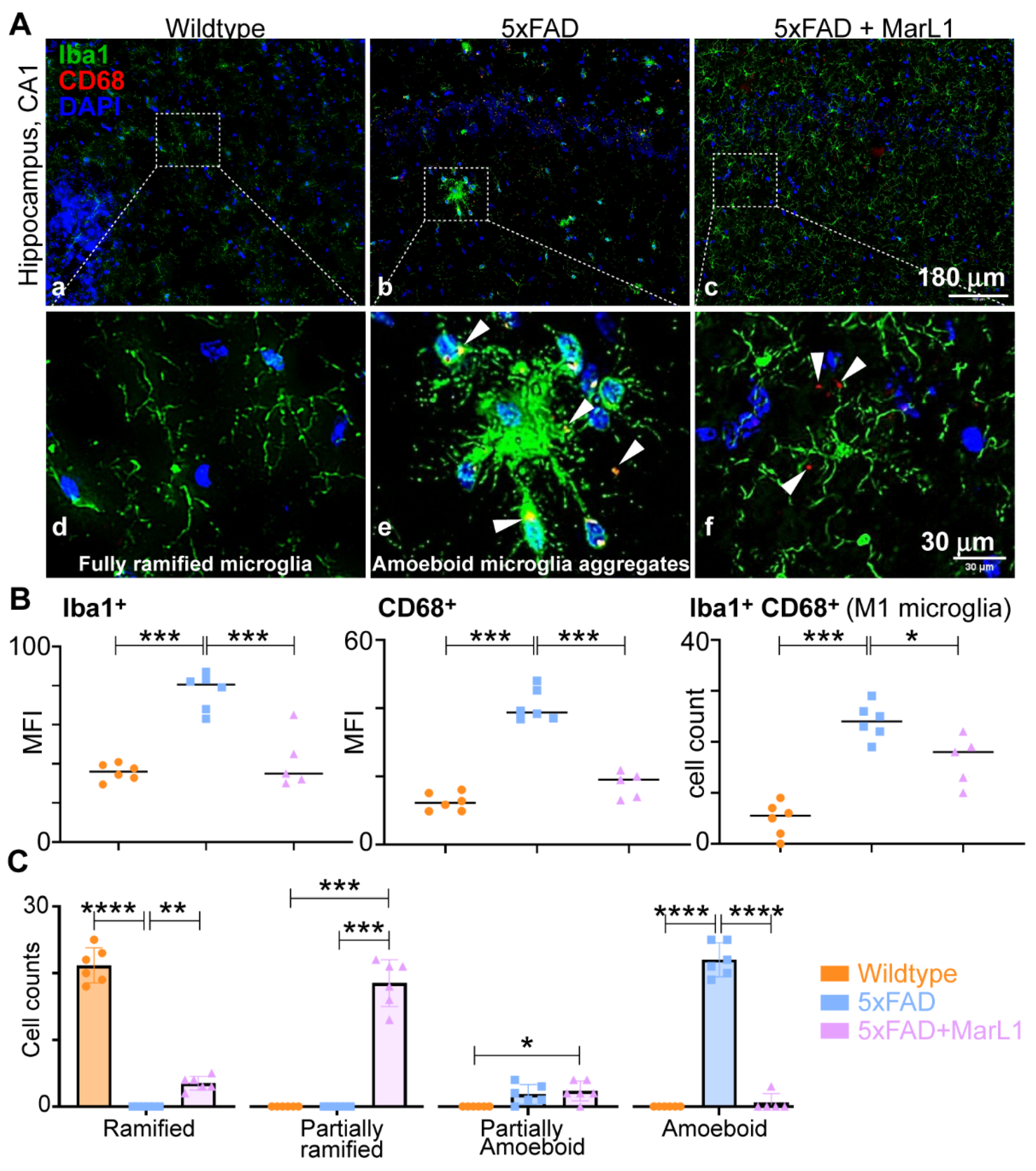 Preprints 138328 g003