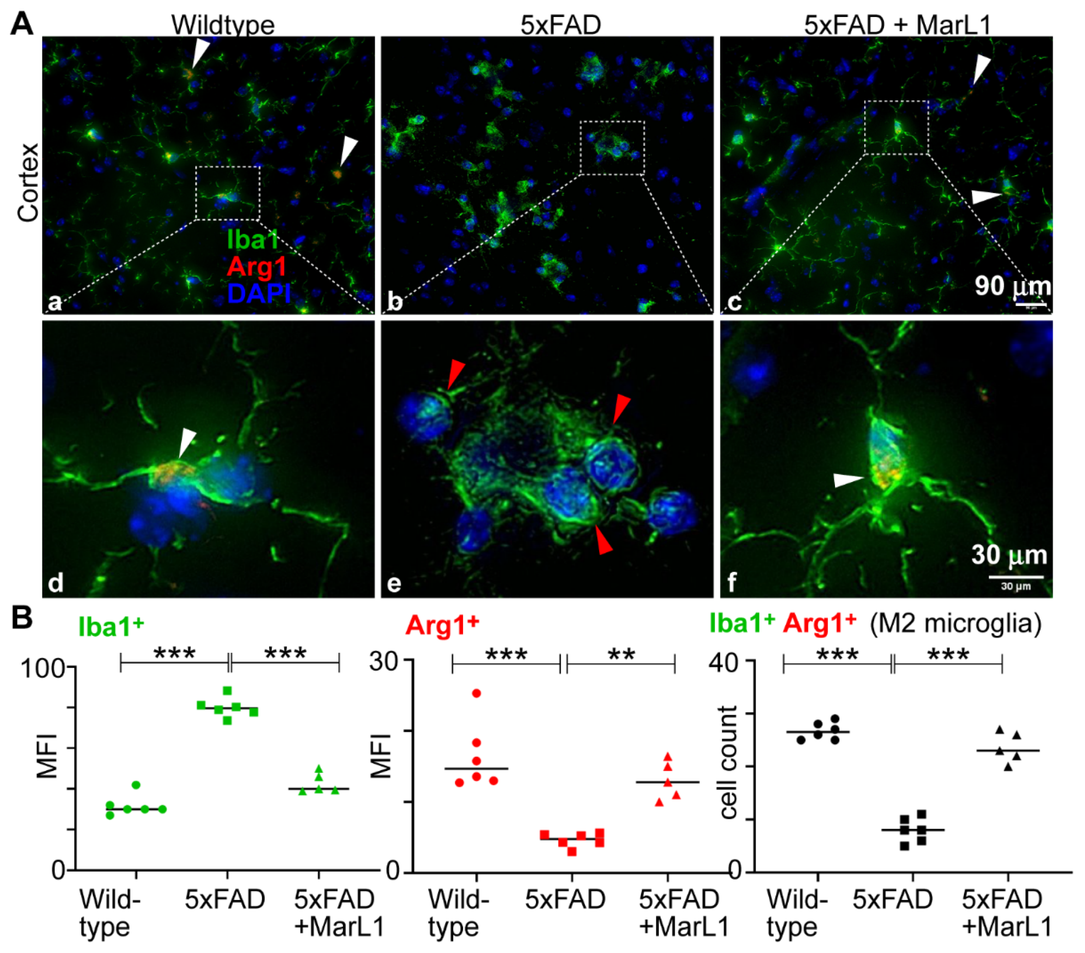 Preprints 138328 g004