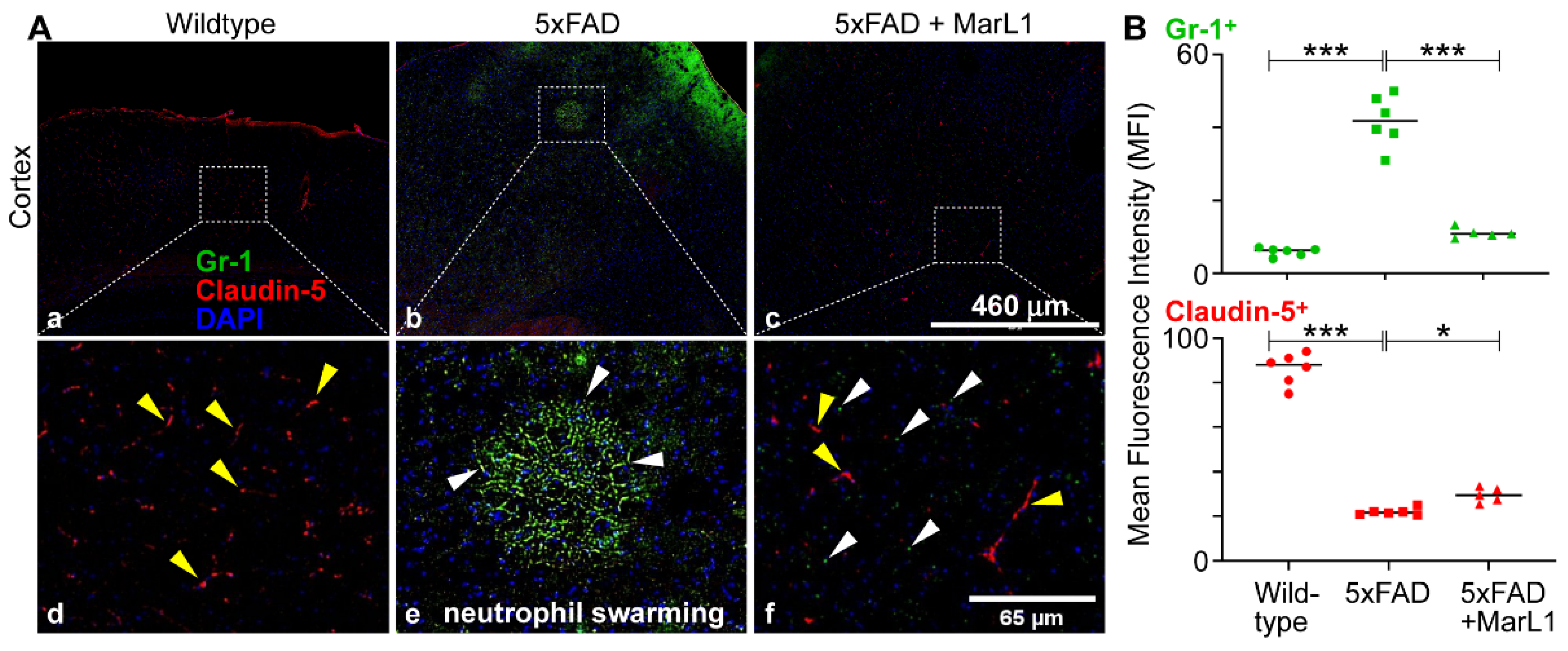 Preprints 138328 g005