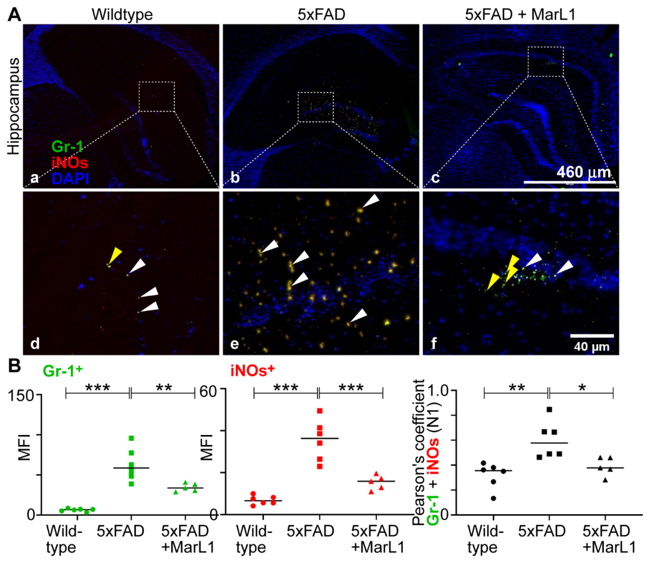 Preprints 138328 g006