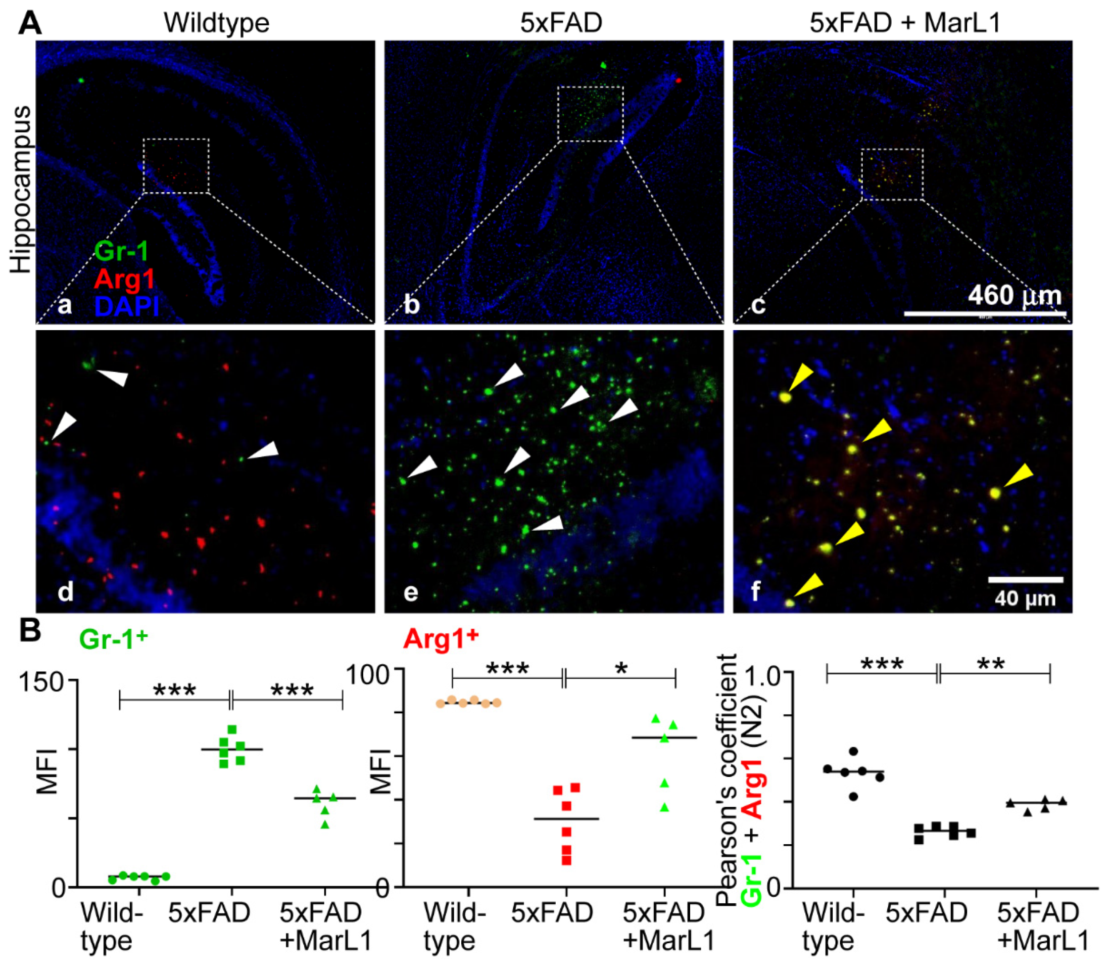 Preprints 138328 g007