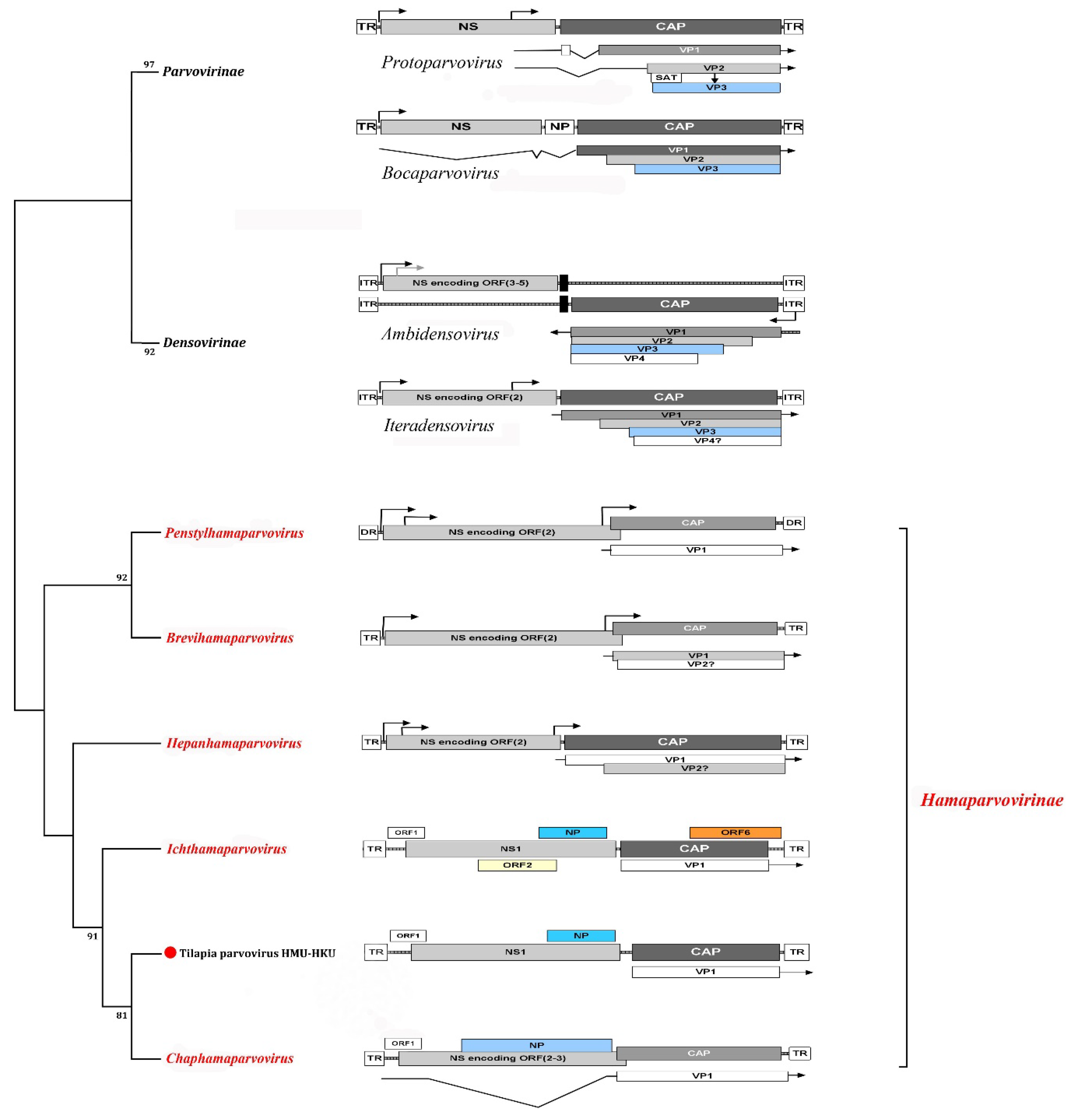 Preprints 108789 g002