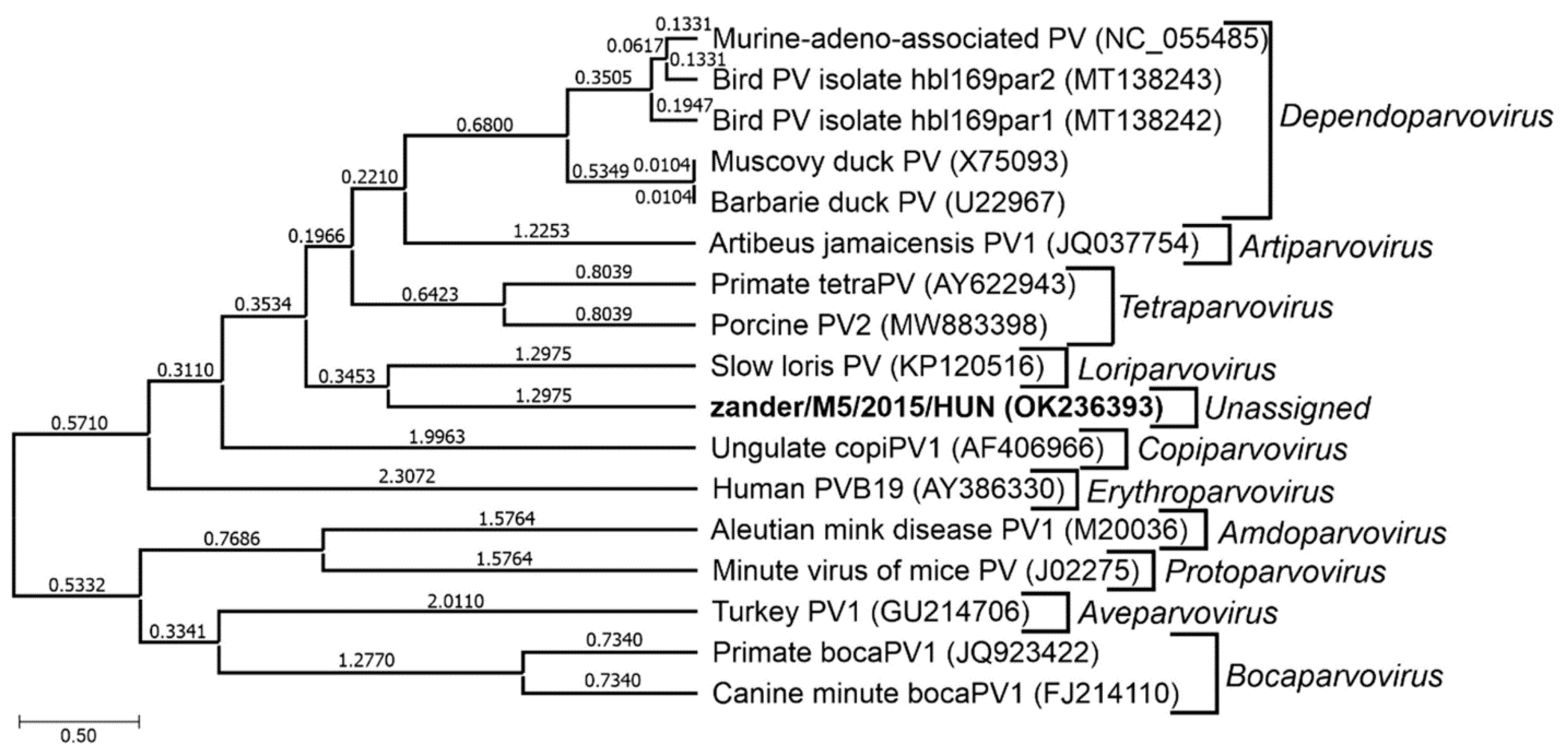 Preprints 108789 g007