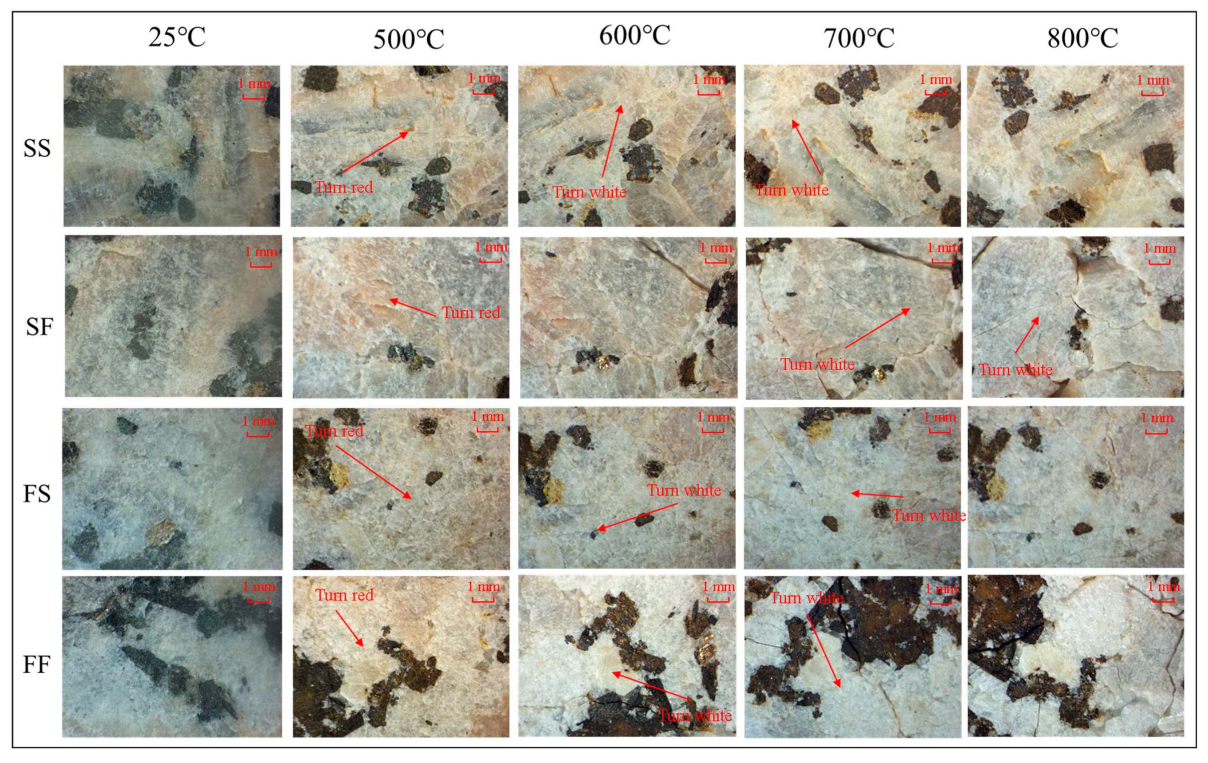 Preprints 84341 g008