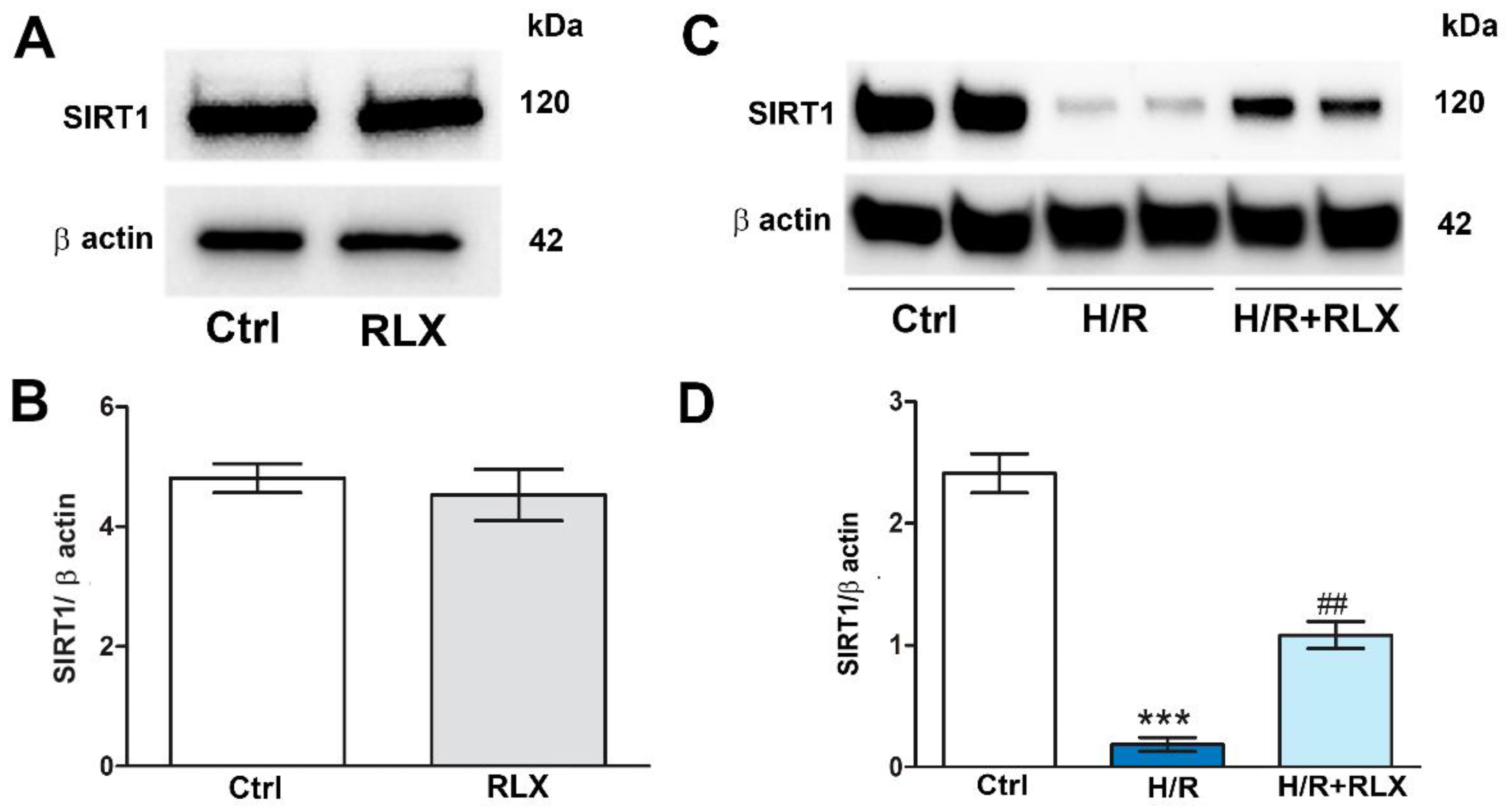 Preprints 93665 g001