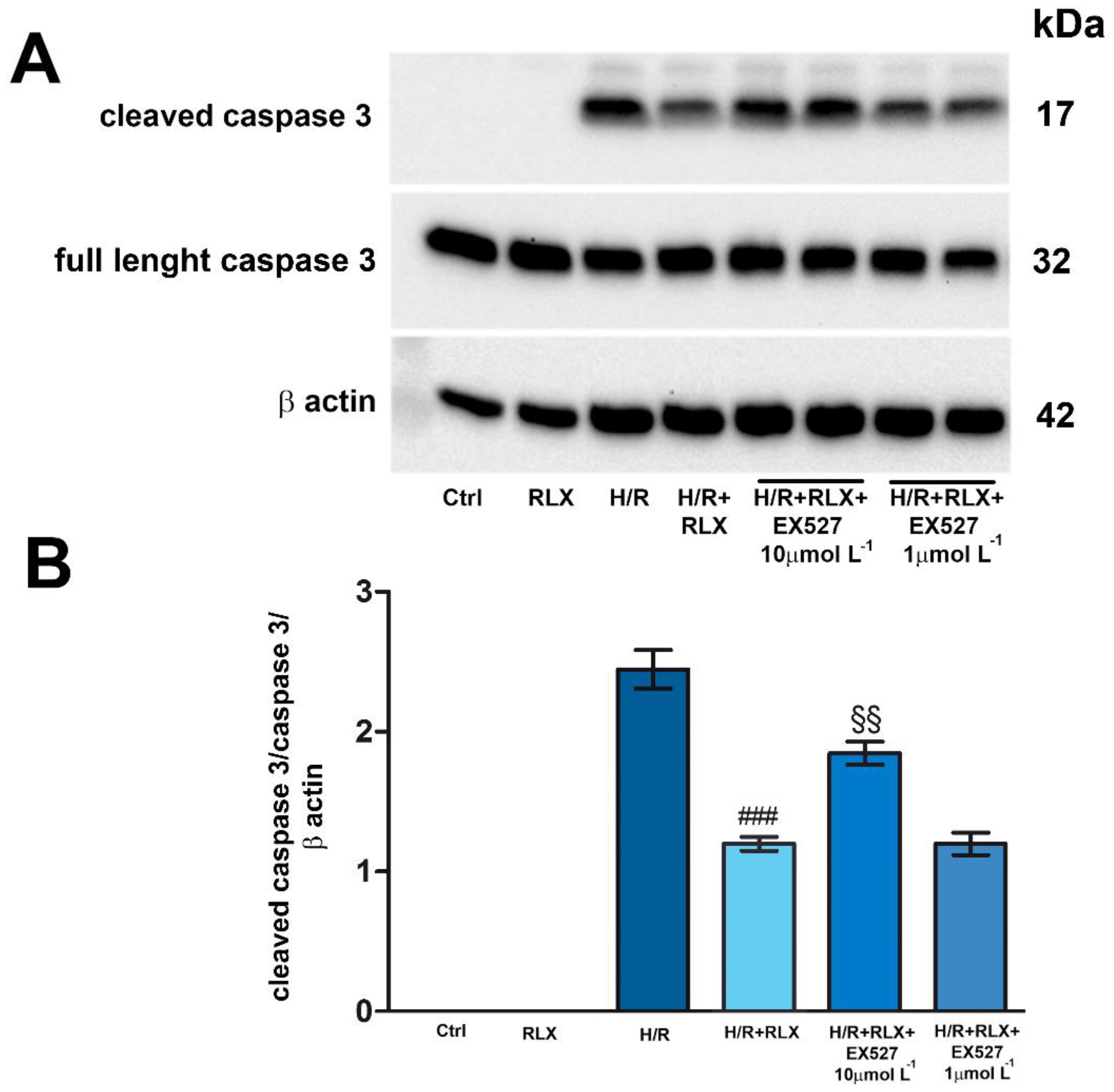 Preprints 93665 g004