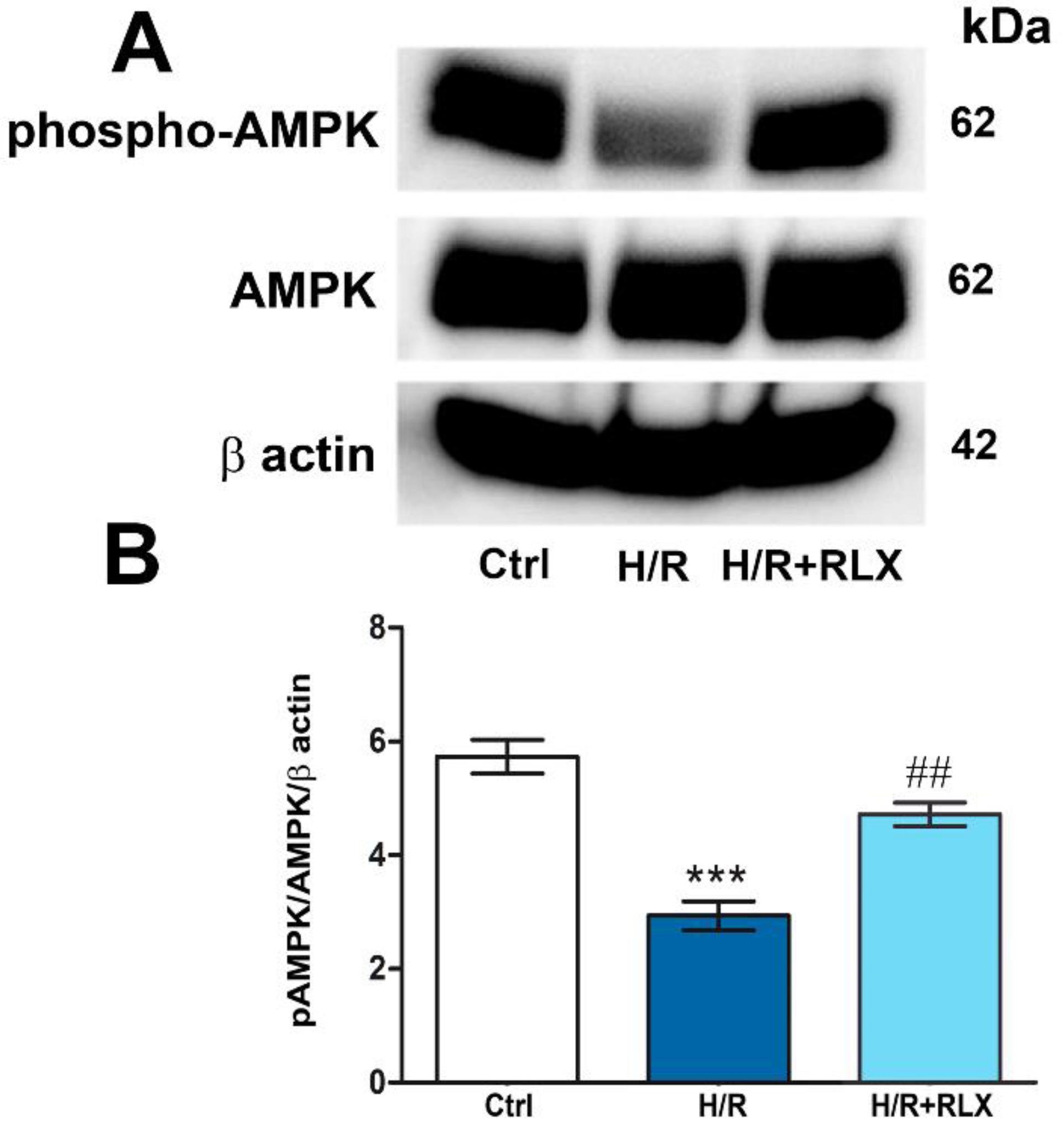 Preprints 93665 g005