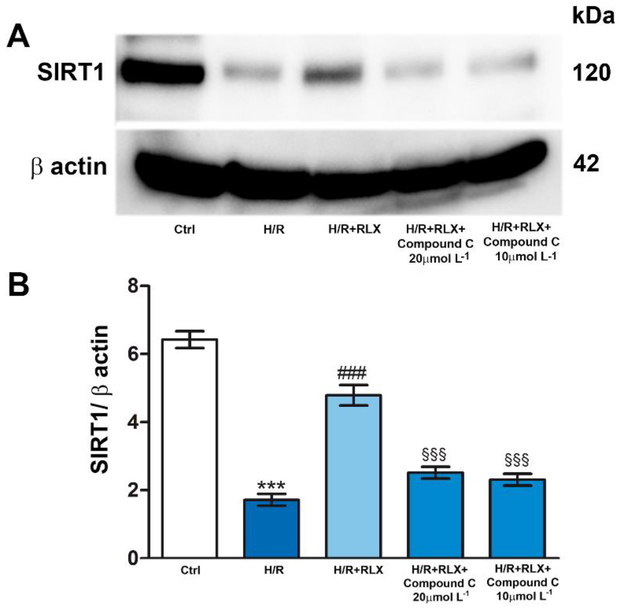 Preprints 93665 g006