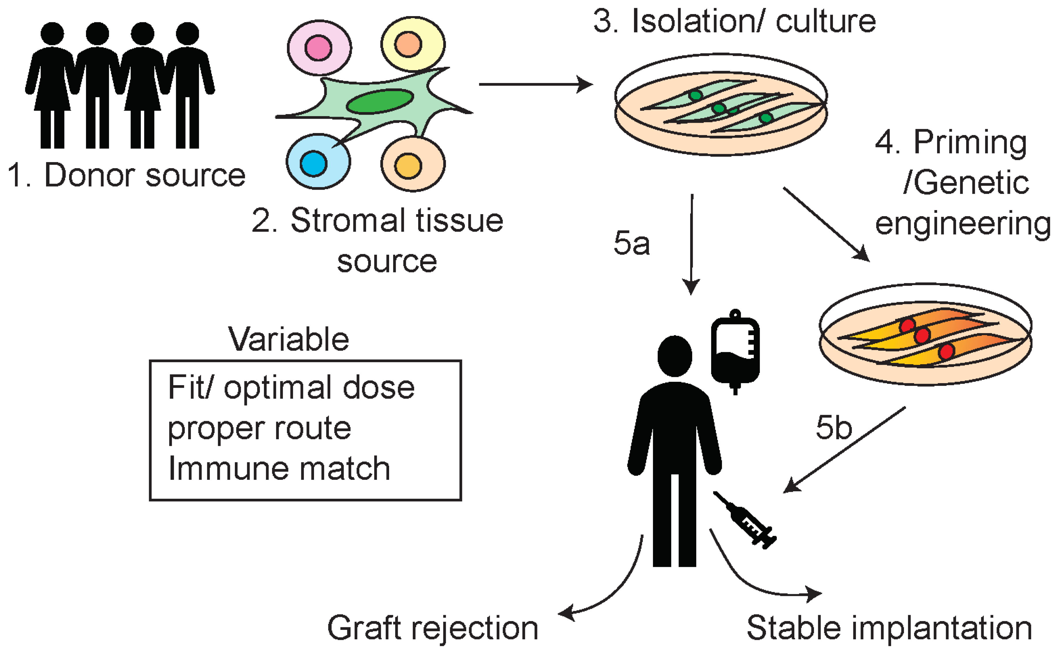 Preprints 96875 g001