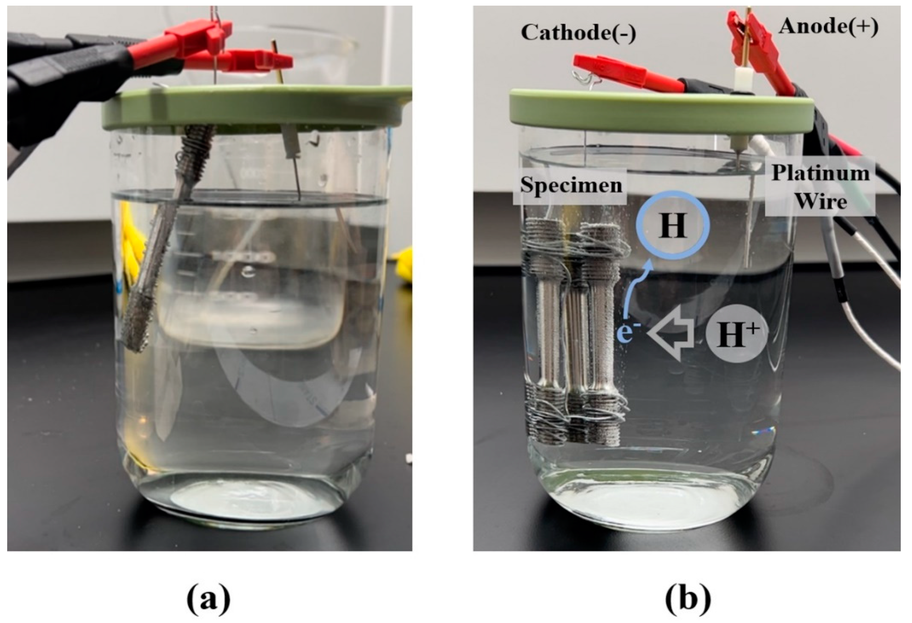 Preprints 81180 g002