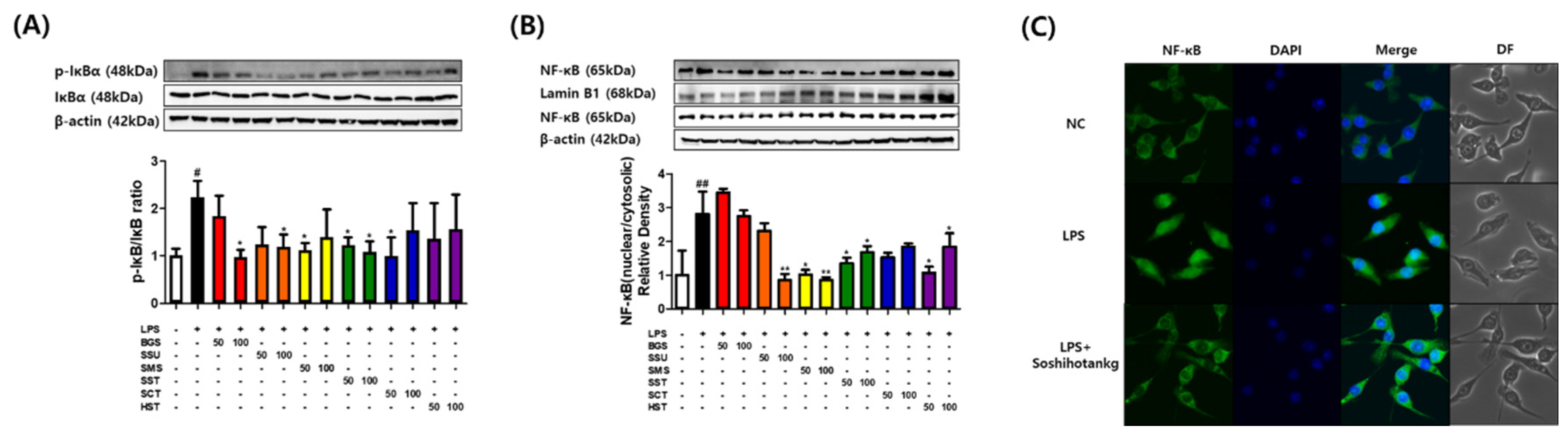 Preprints 114326 g002