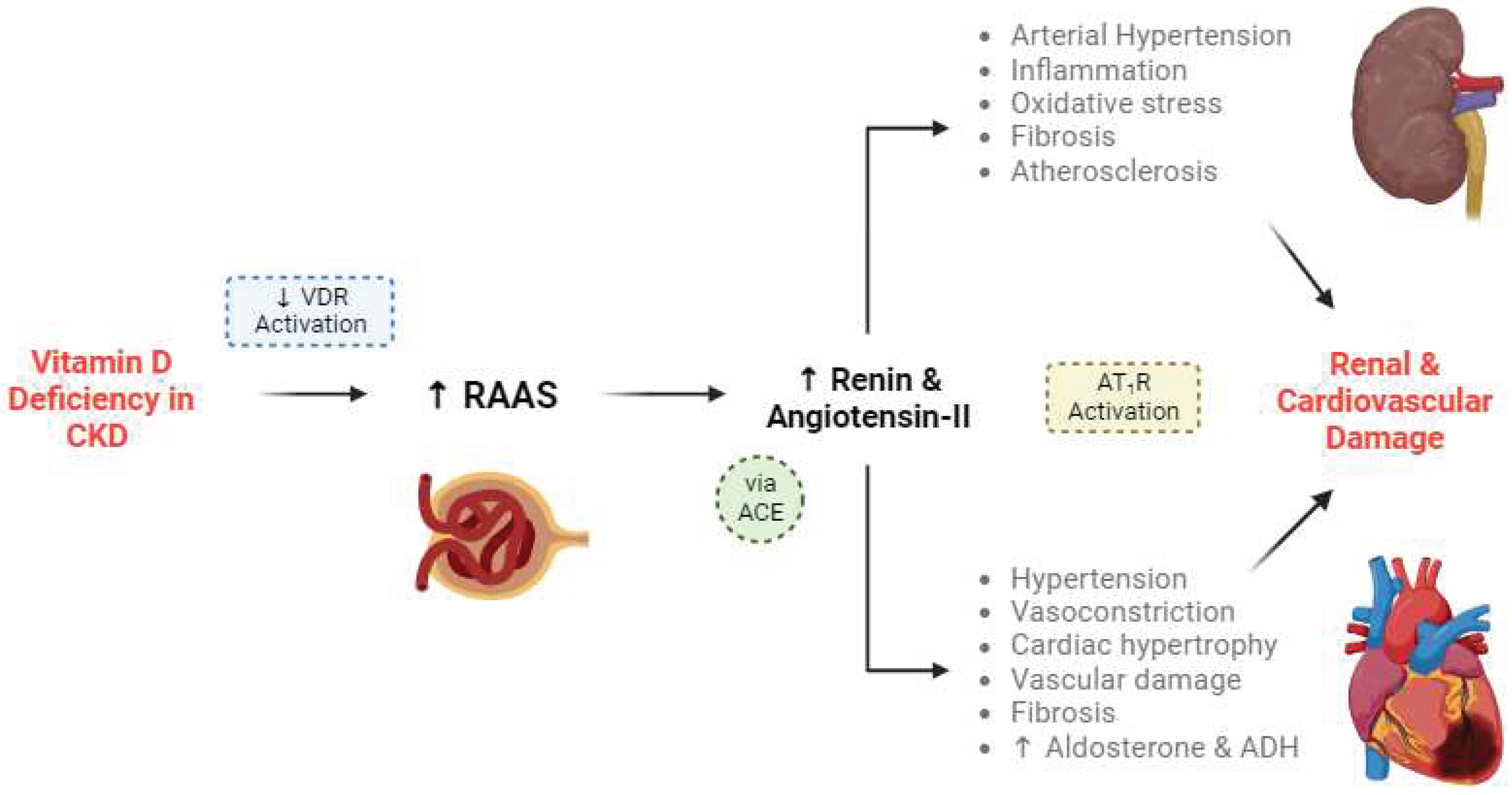 Preprints 97220 g002