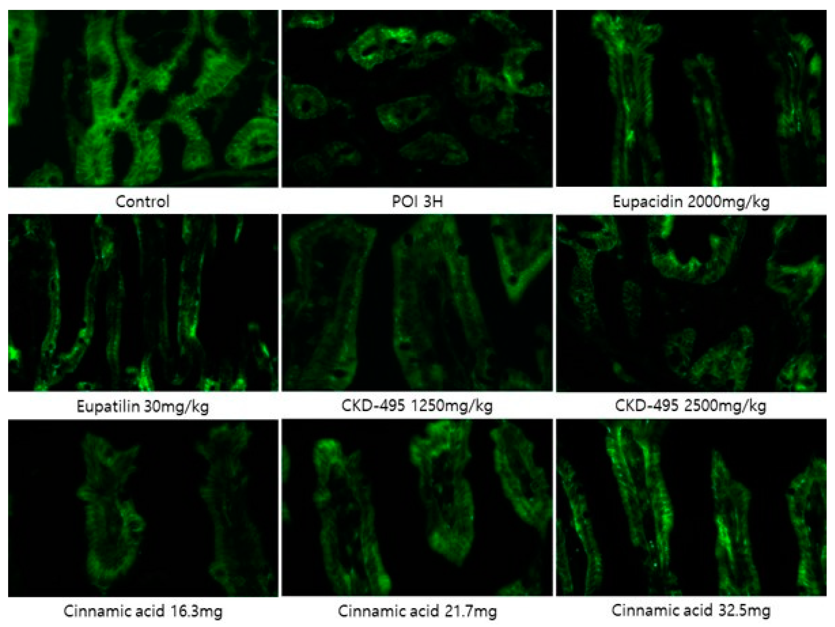 Preprints 114124 g003