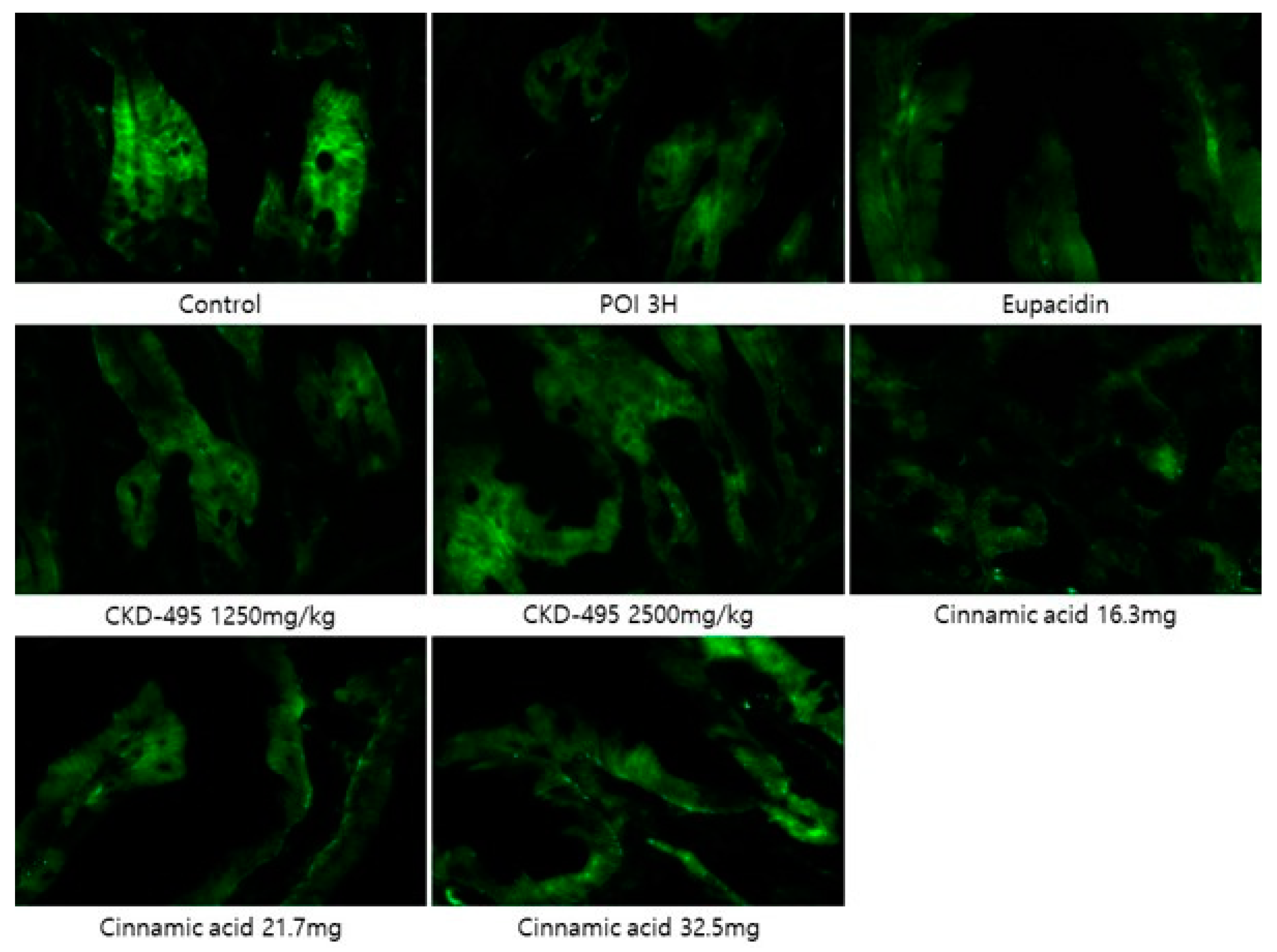 Preprints 114124 g004