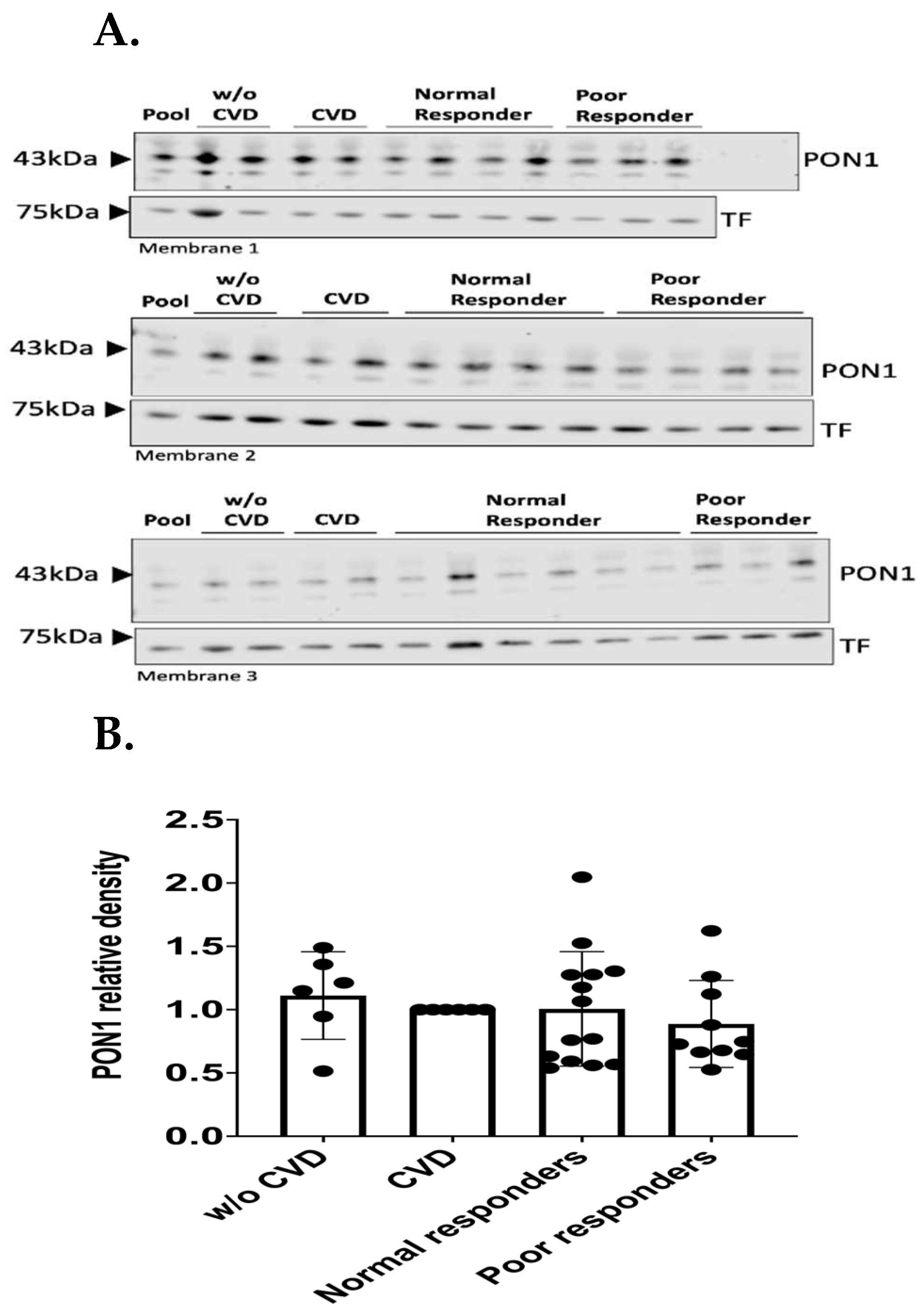 Preprints 94445 g002