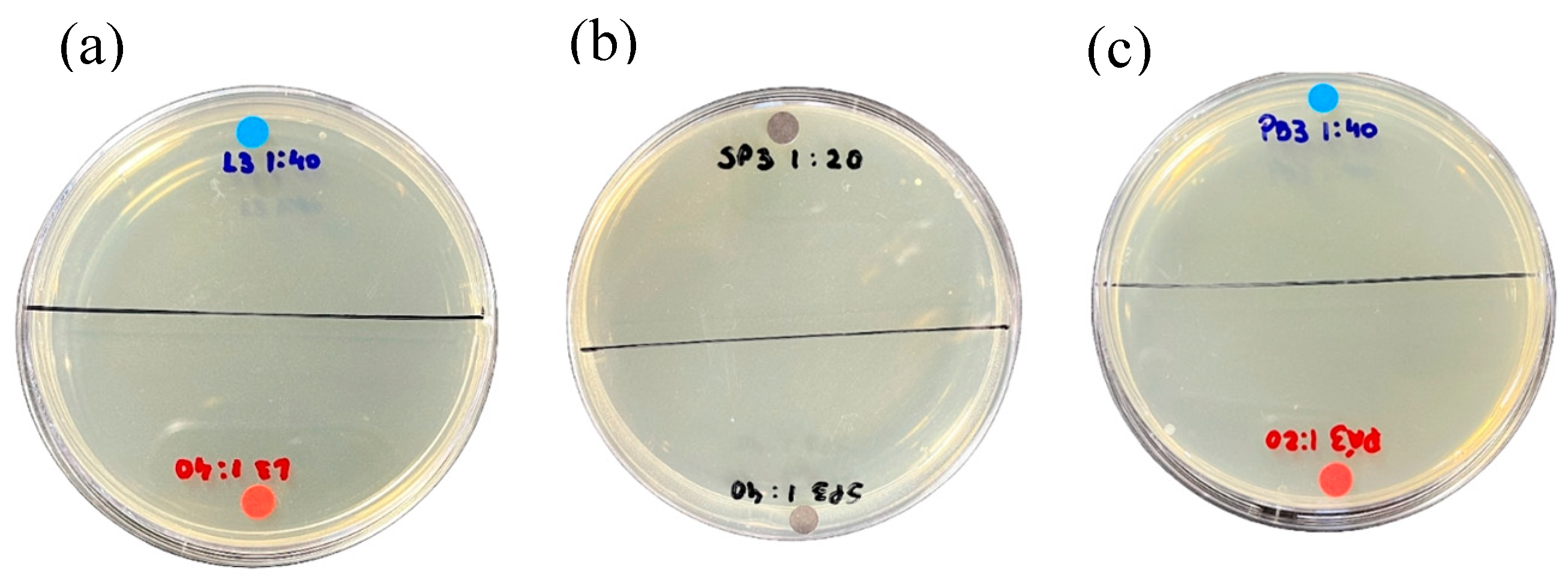 Preprints 114096 g010