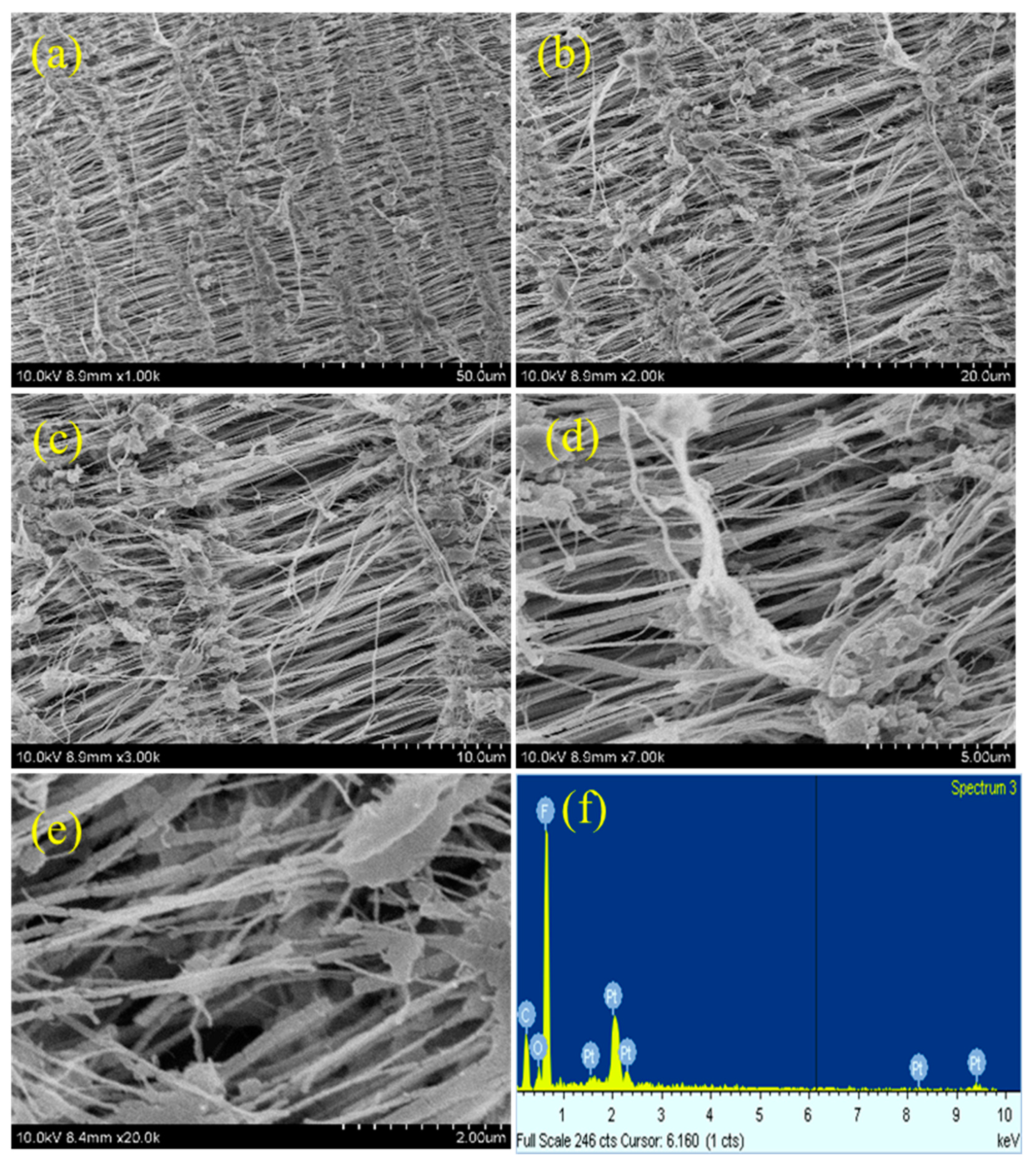 Preprints 80815 g007