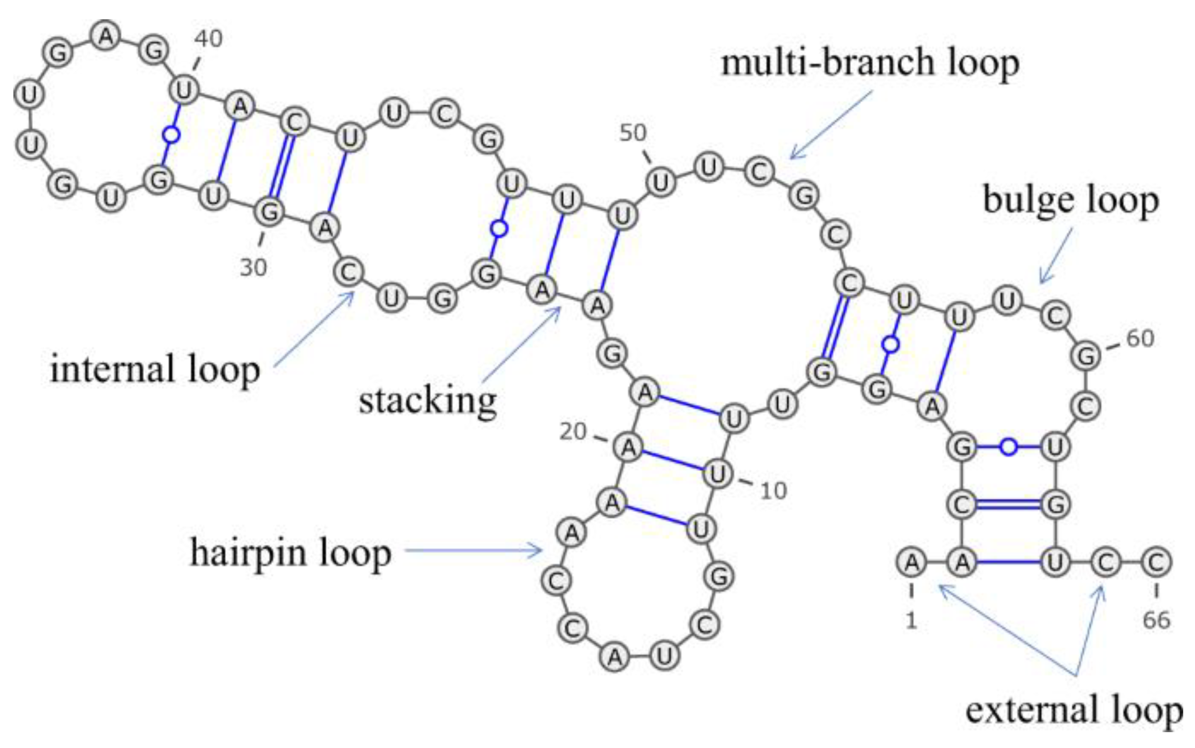 Preprints 120246 g001