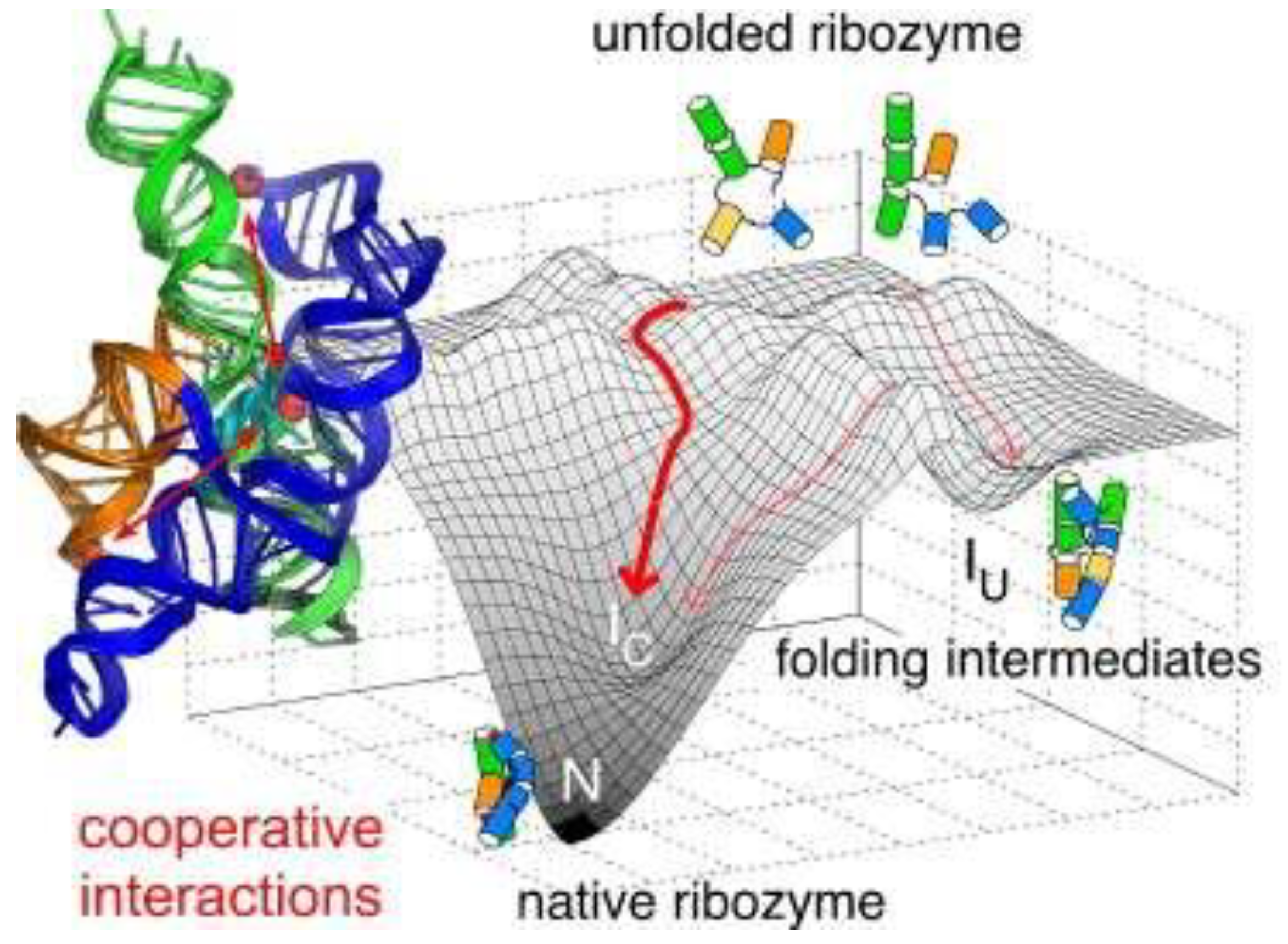 Preprints 120246 g002