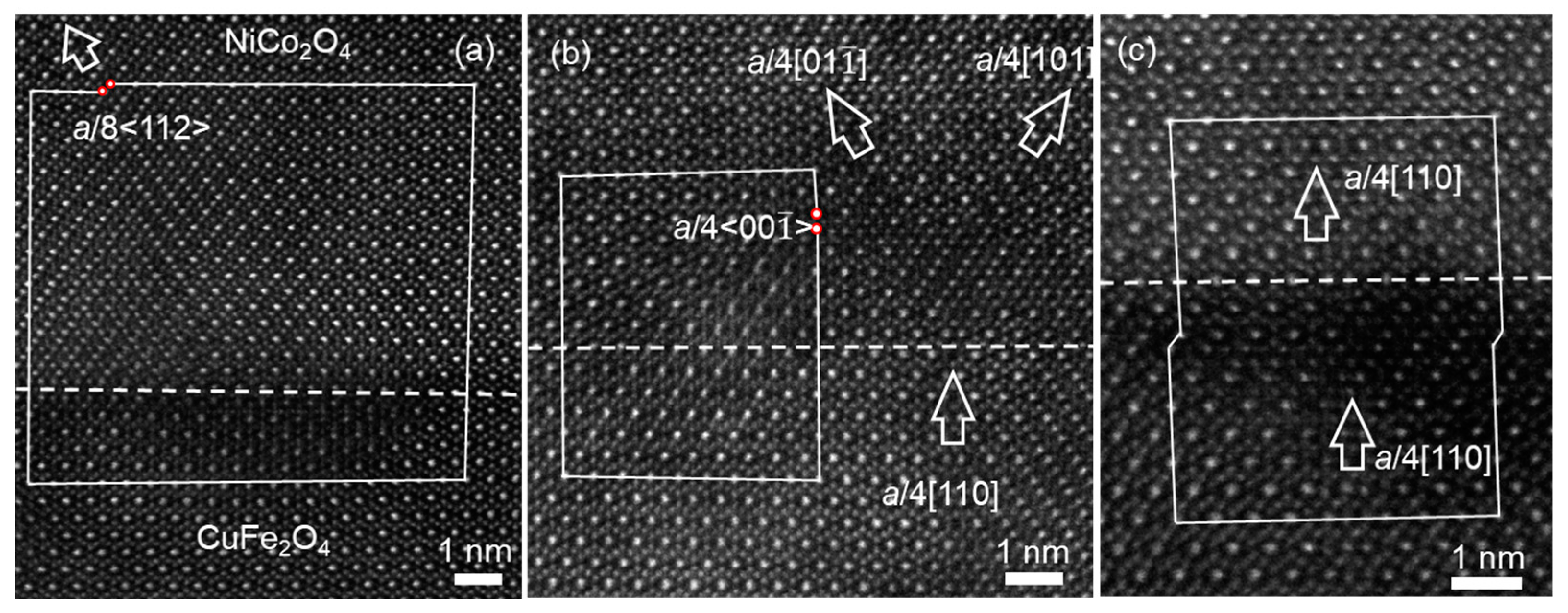 Preprints 96646 g003