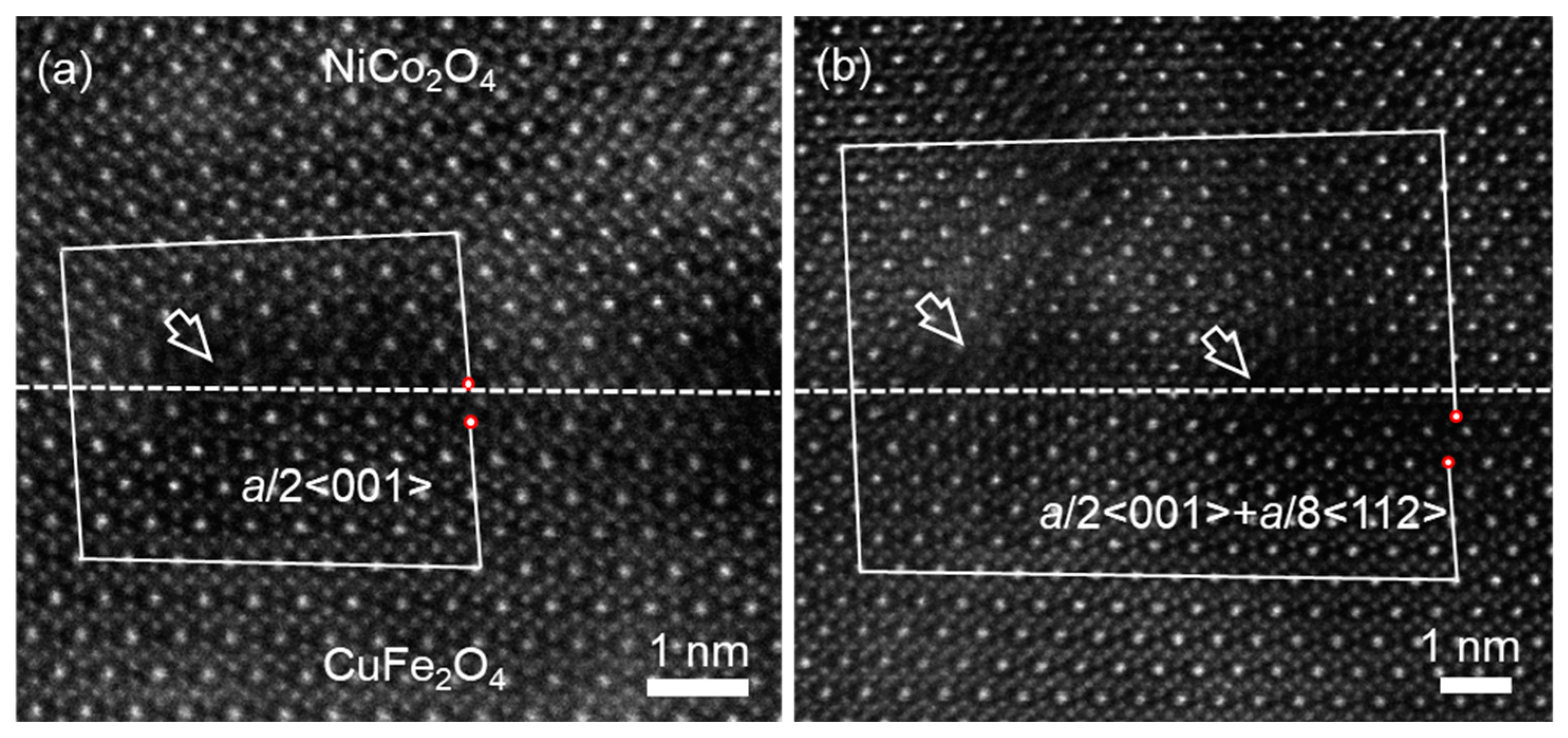 Preprints 96646 g007