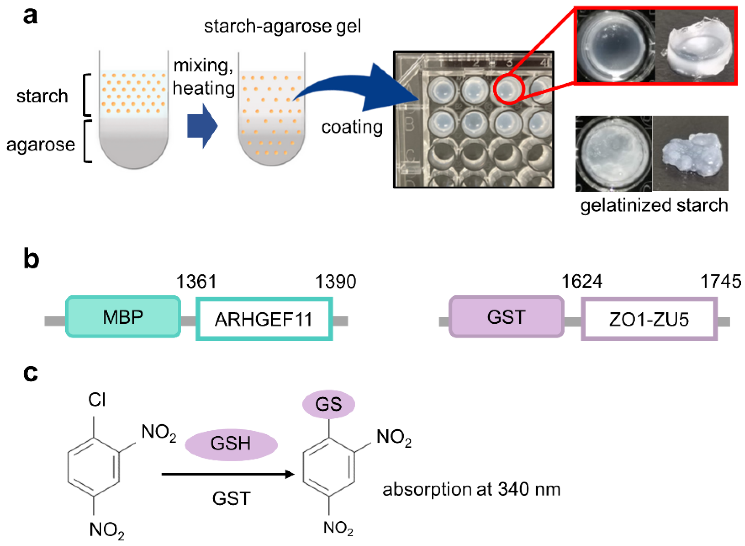 Preprints 68905 g001