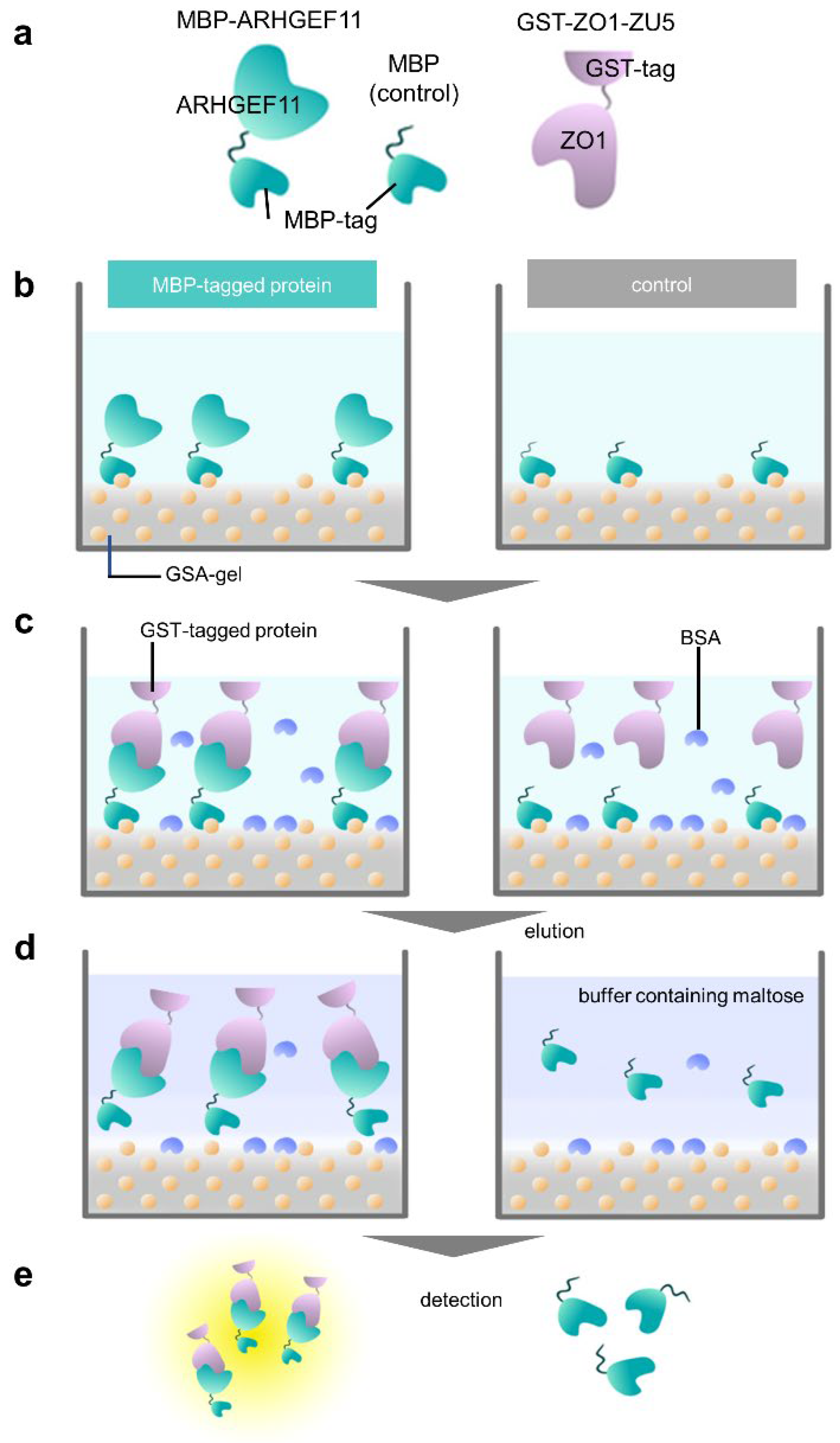 Preprints 68905 g002