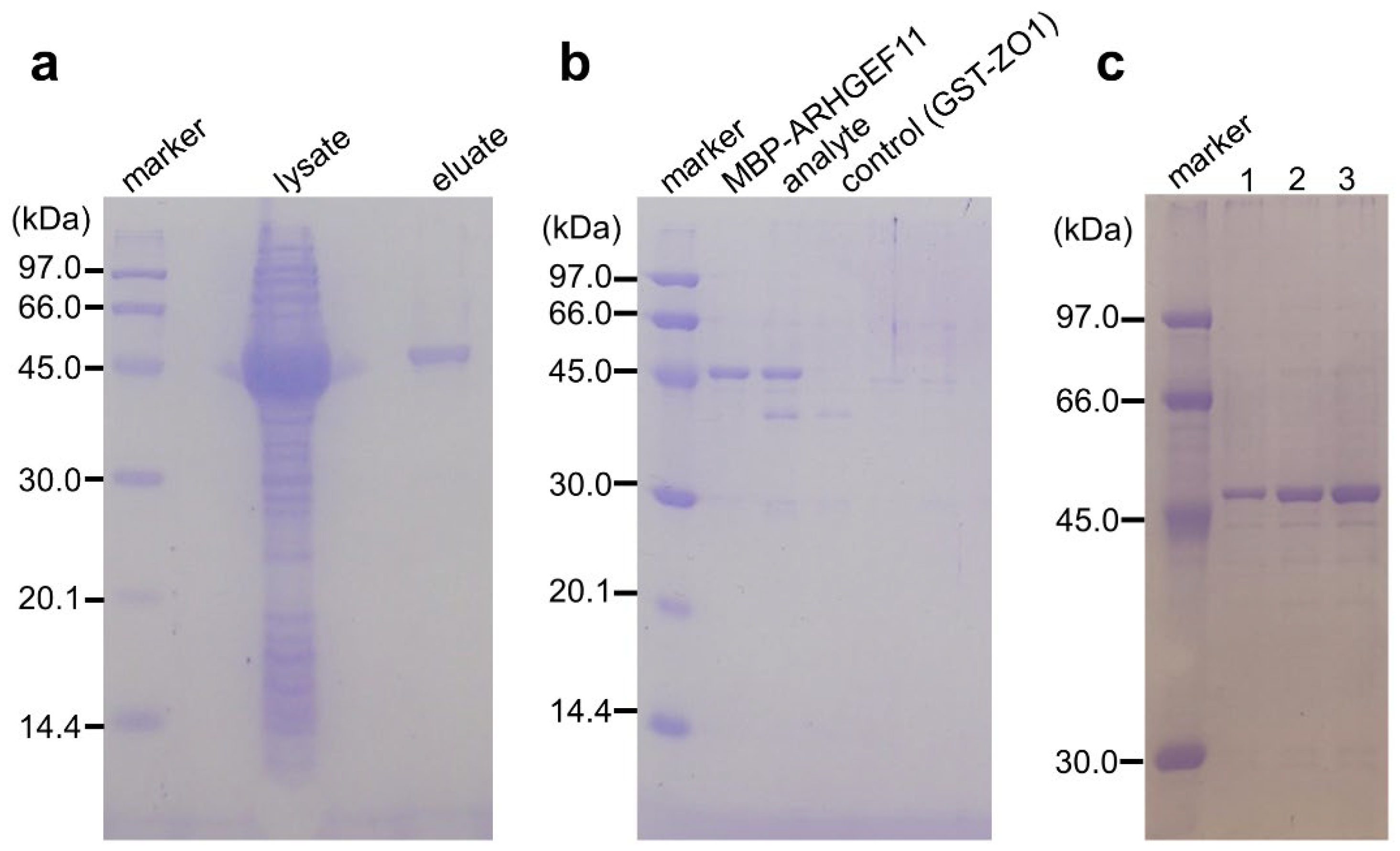 Preprints 68905 g003