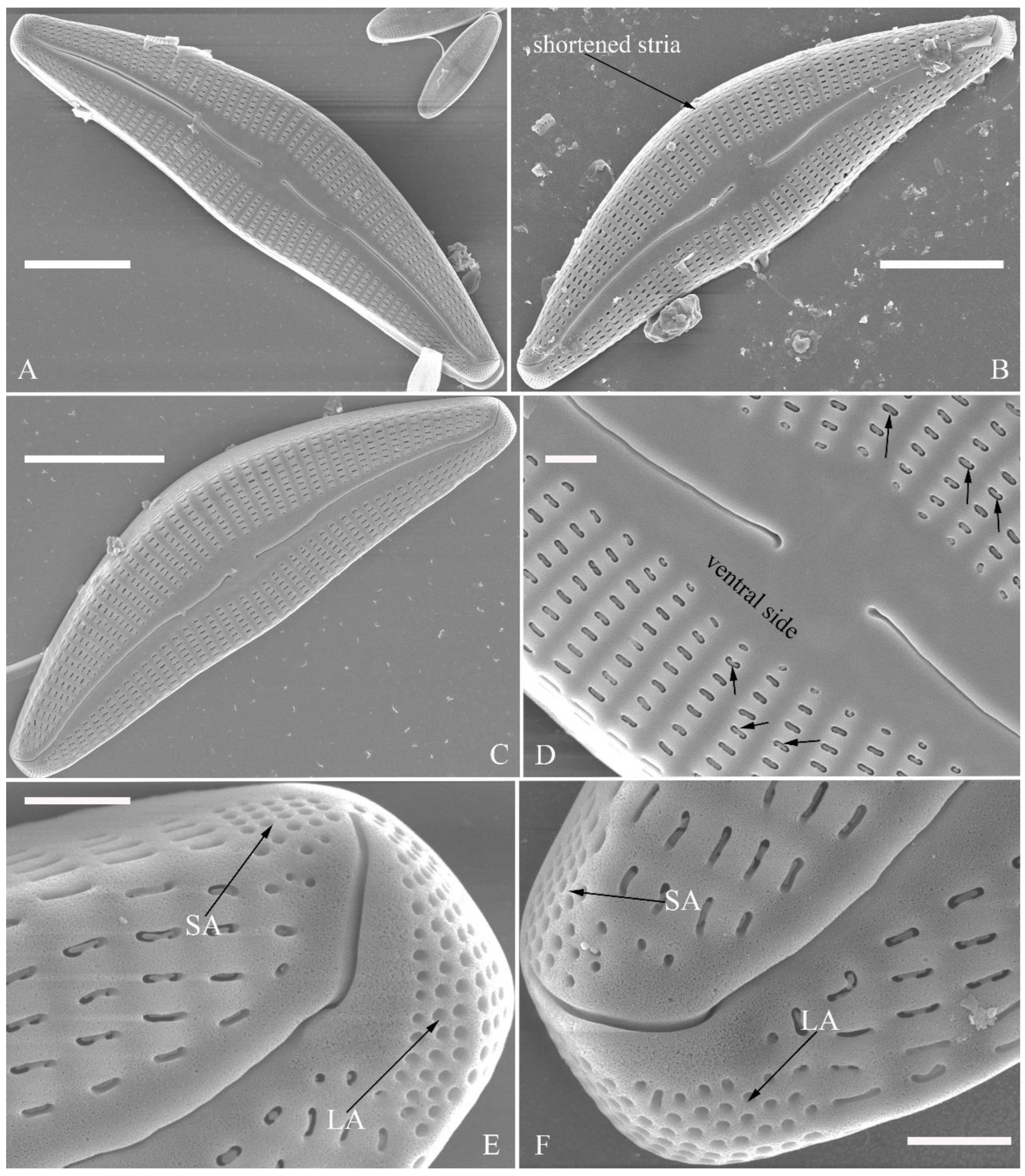 Preprints 109315 g010