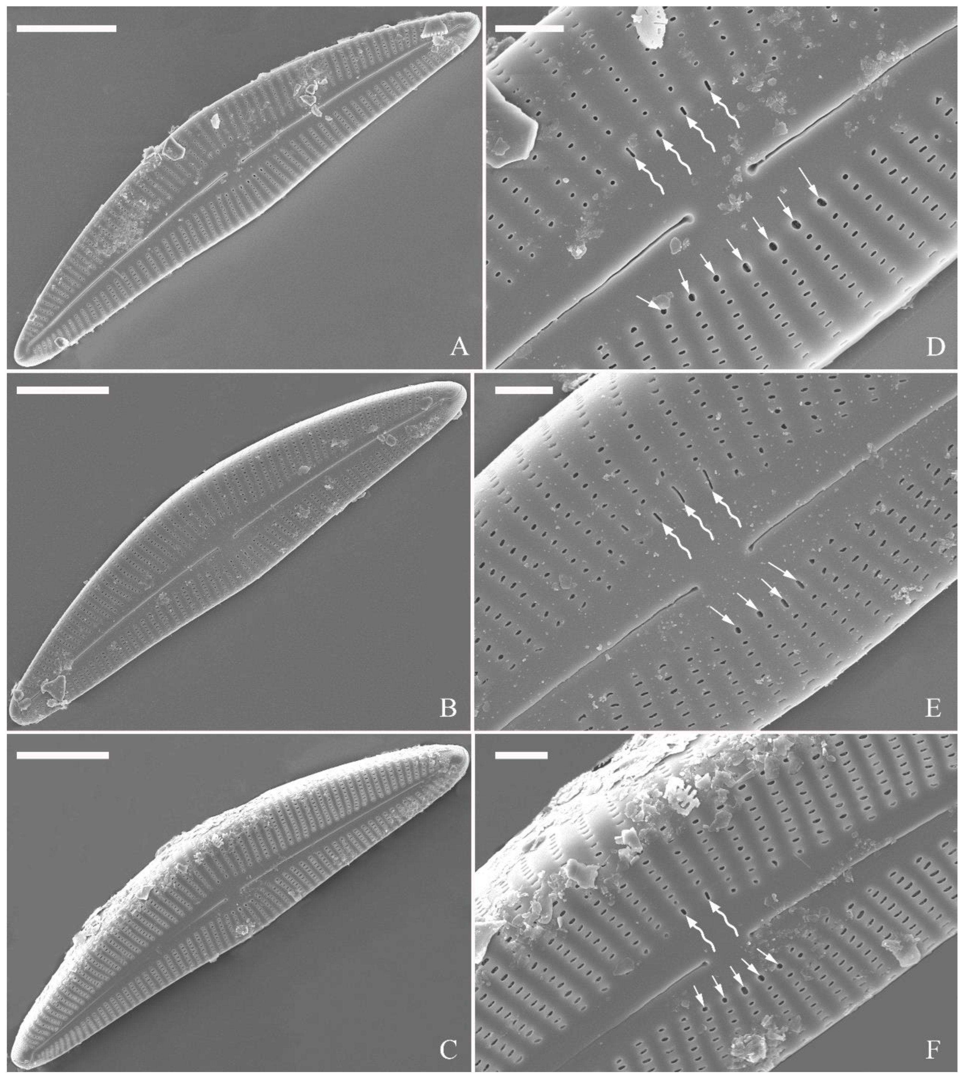 Preprints 109315 g017