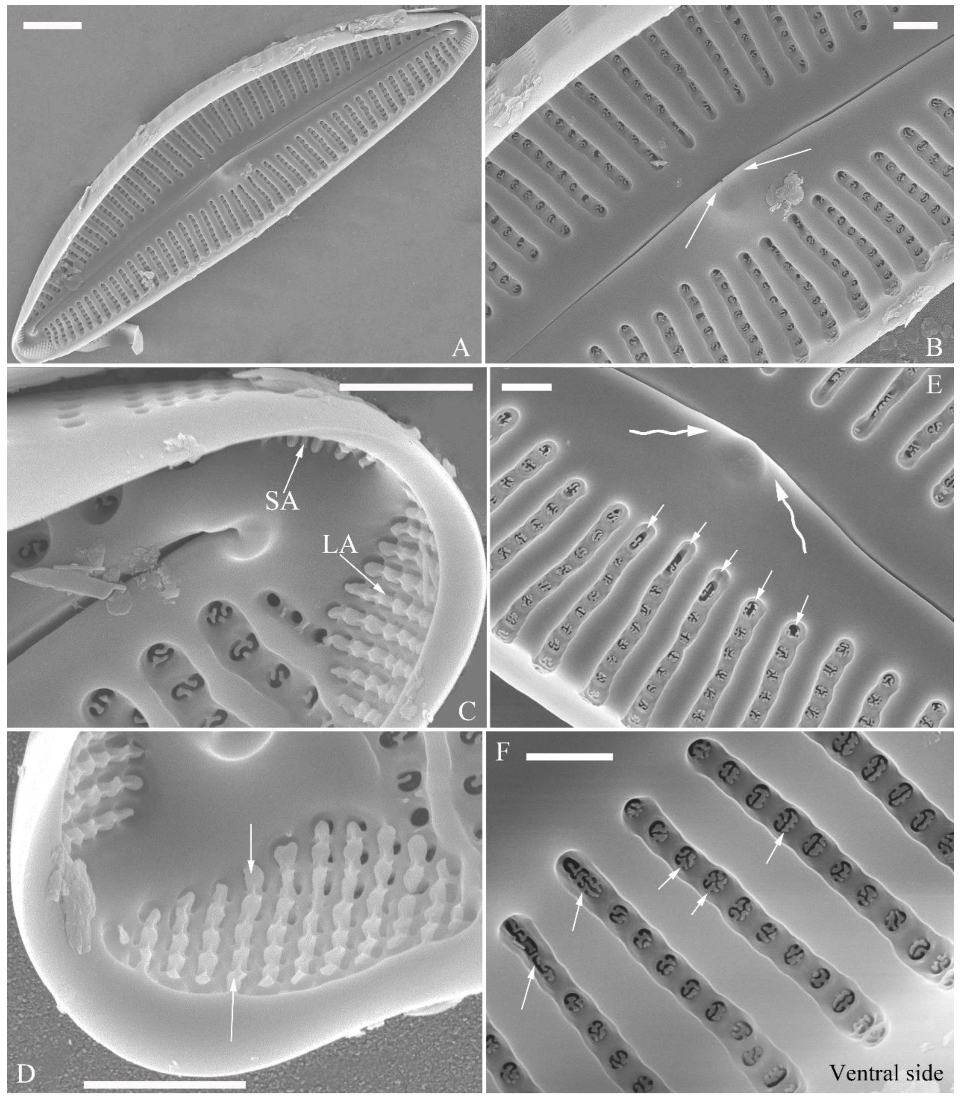 Preprints 109315 g019