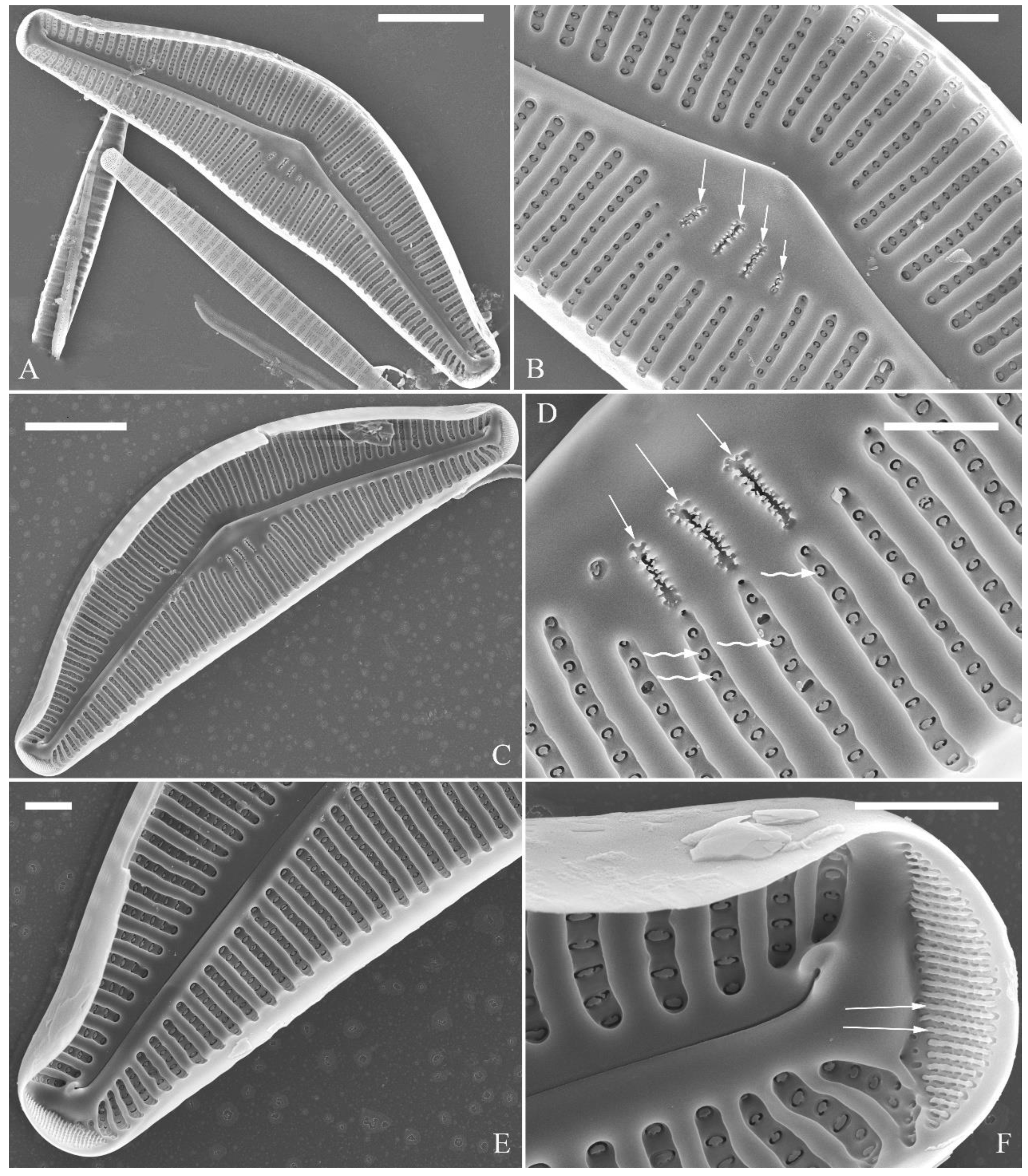 Preprints 109315 g023