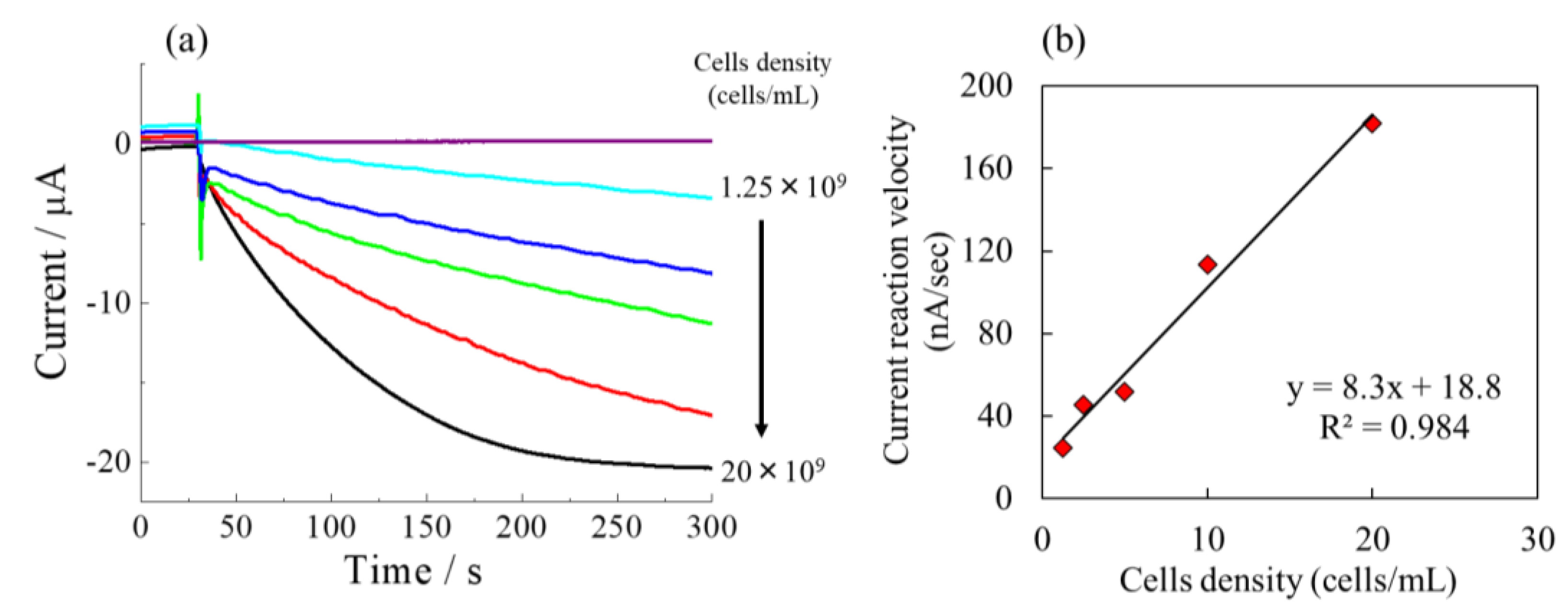 Preprints 109716 g007