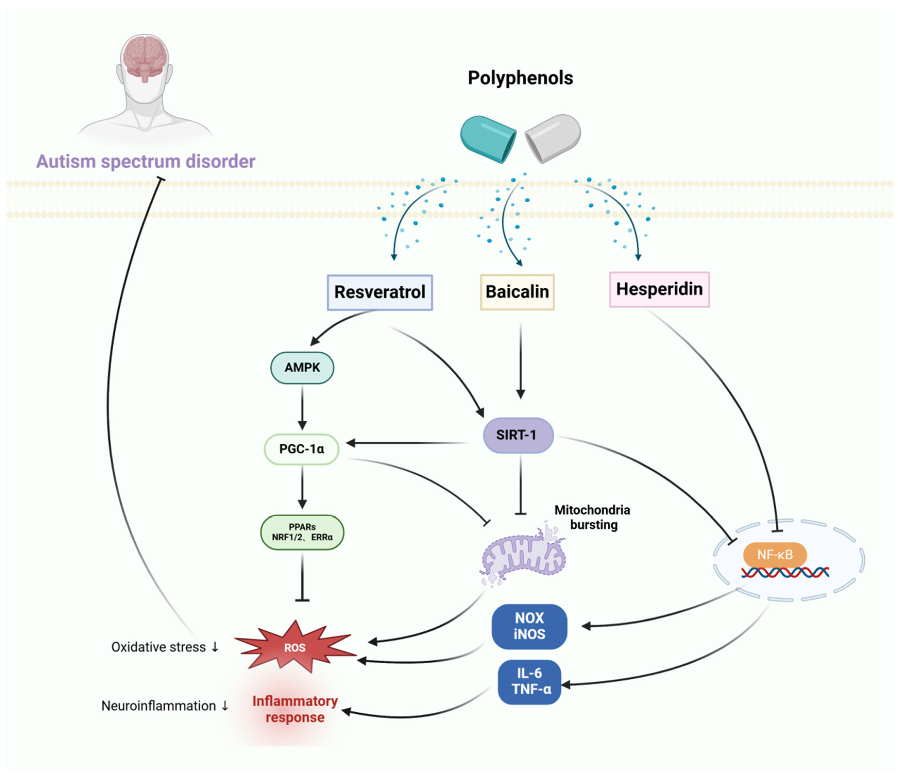 Preprints 107455 g001