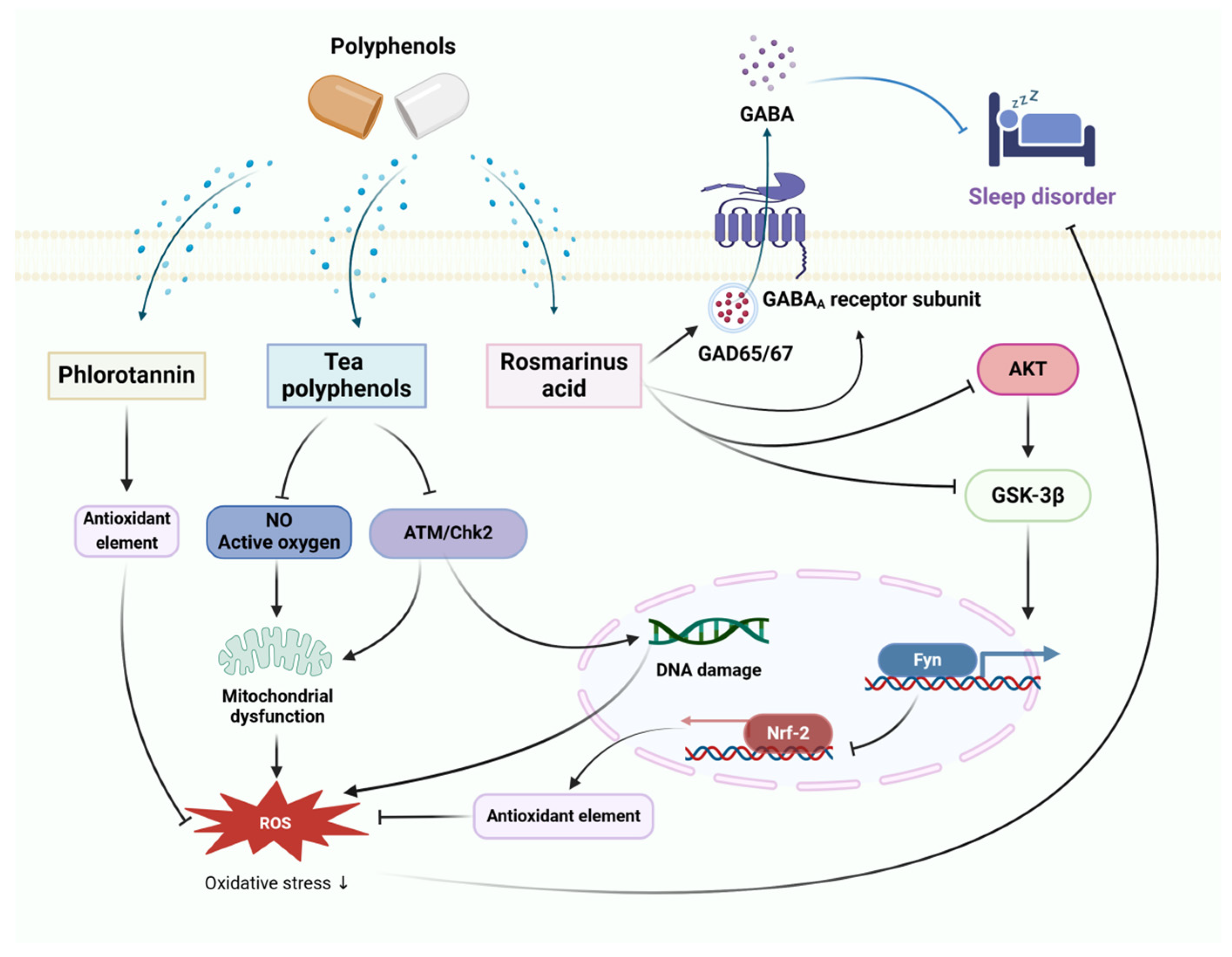 Preprints 107455 g002