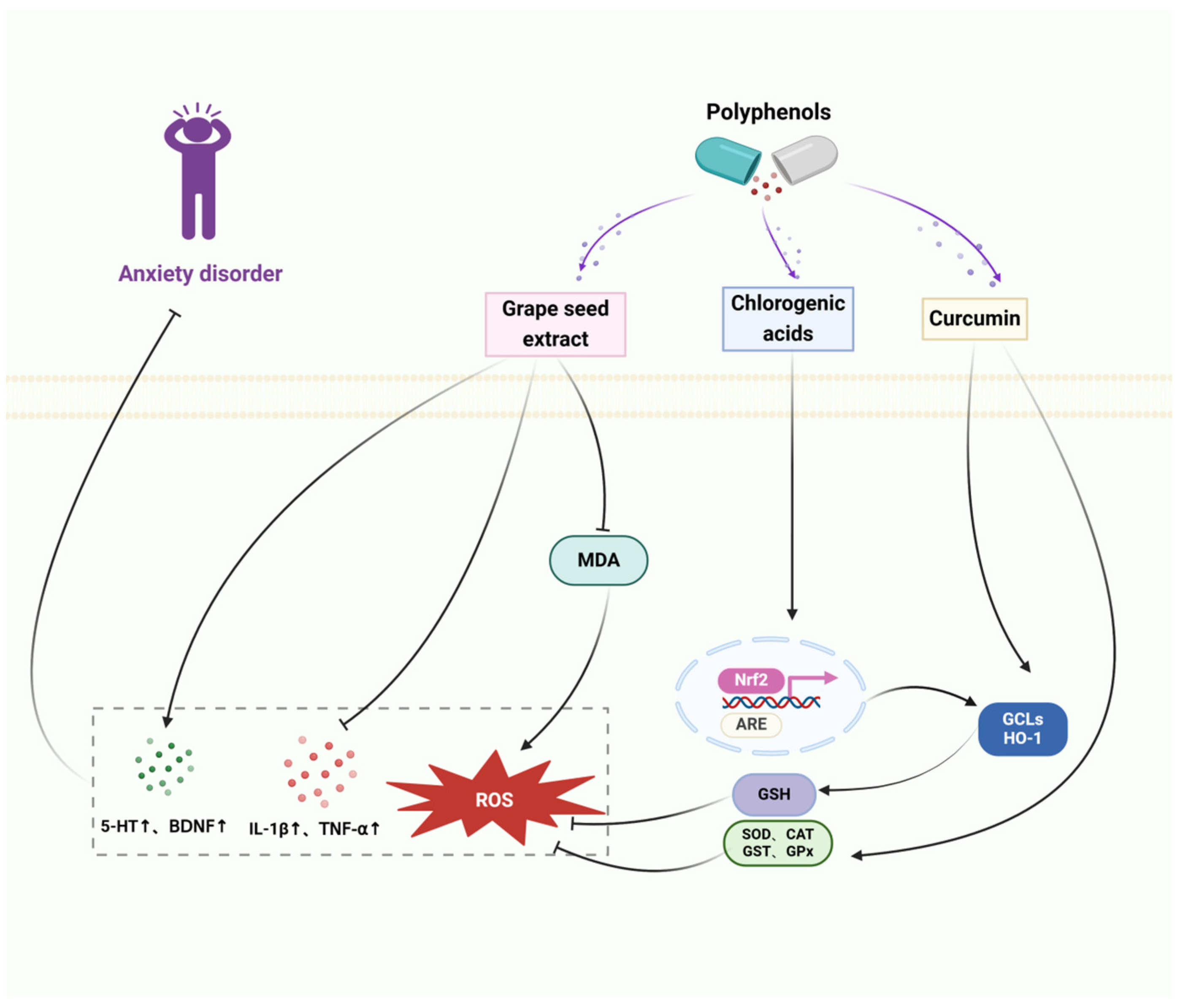 Preprints 107455 g003