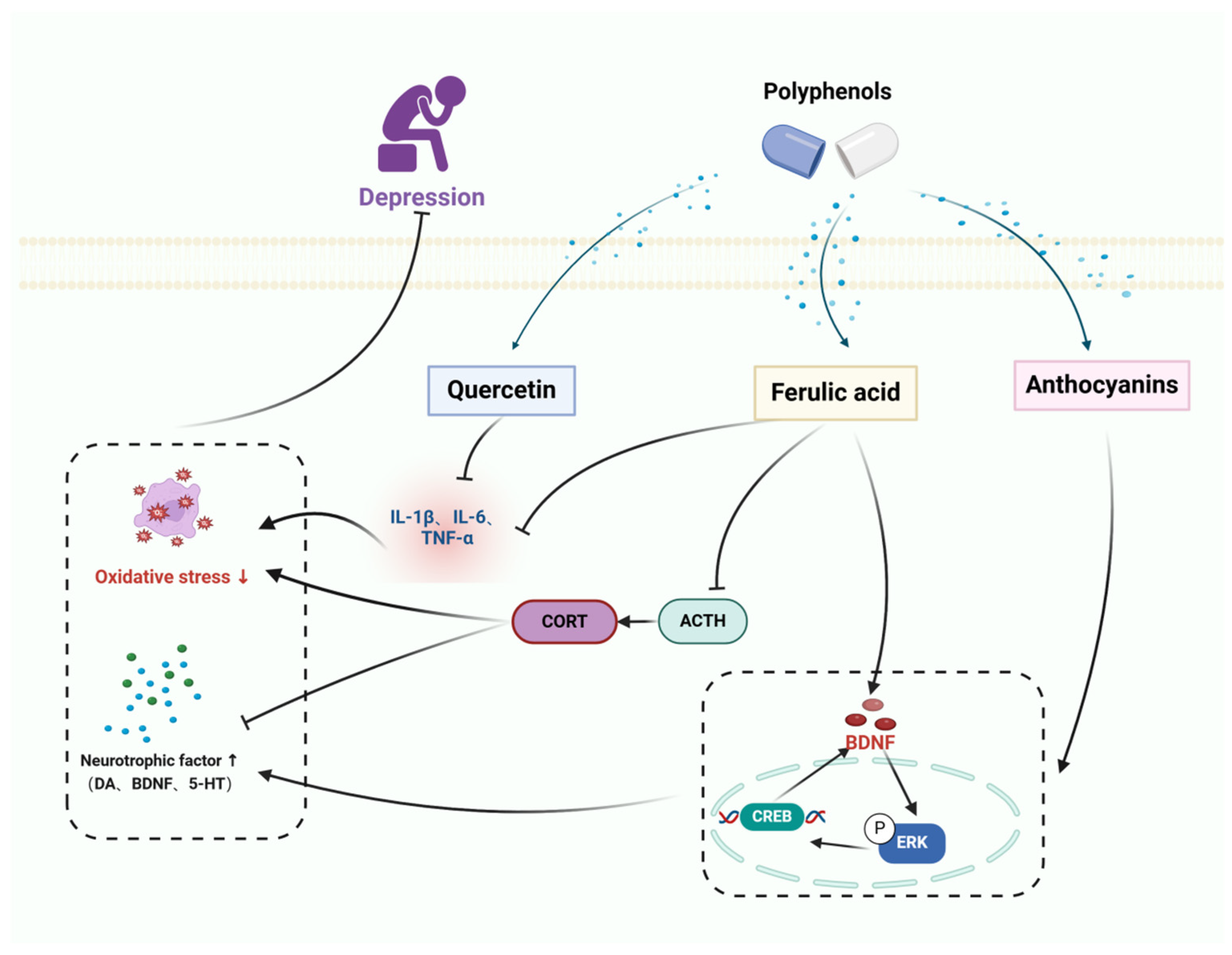 Preprints 107455 g004