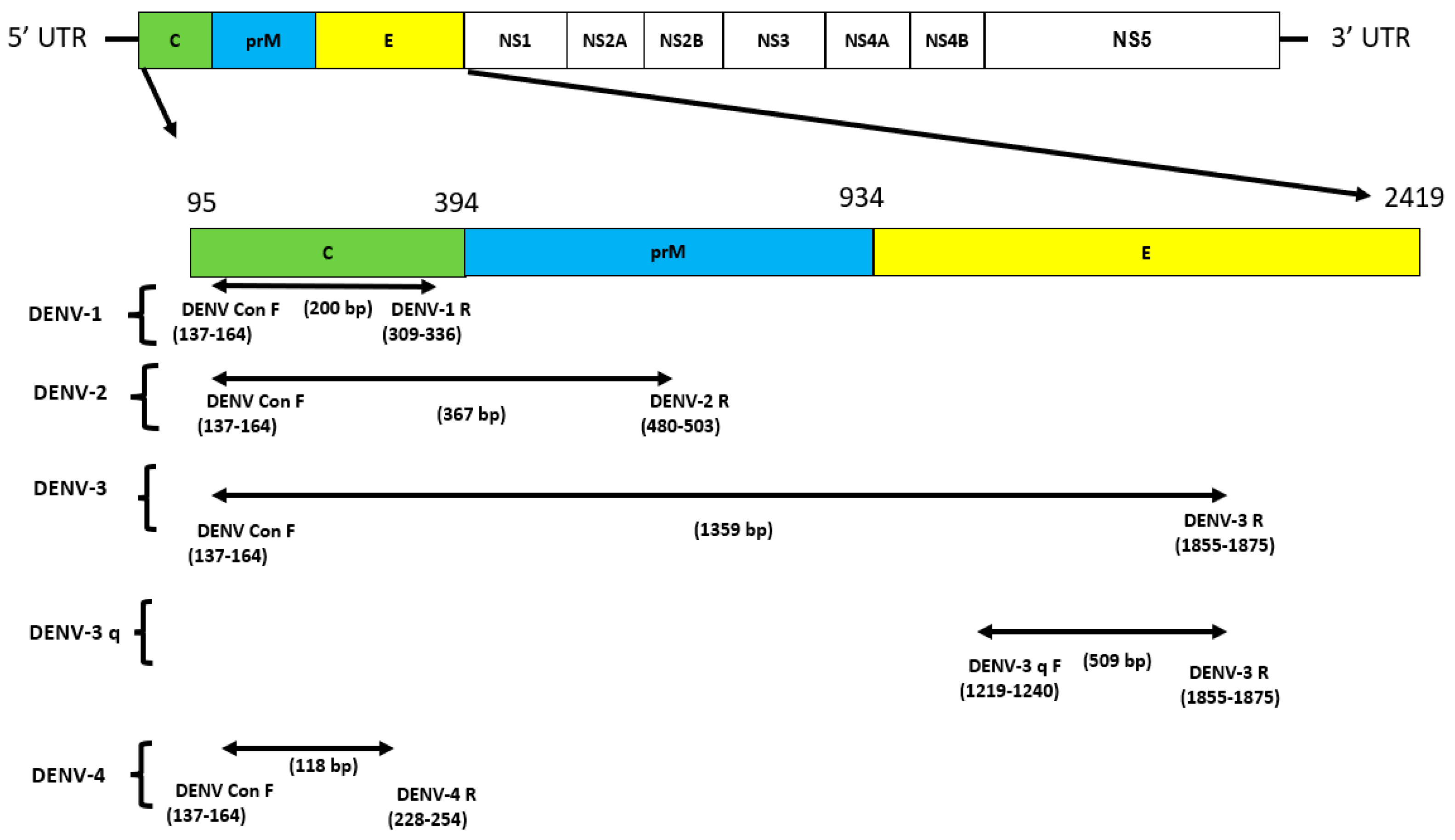 Preprints 95798 g001