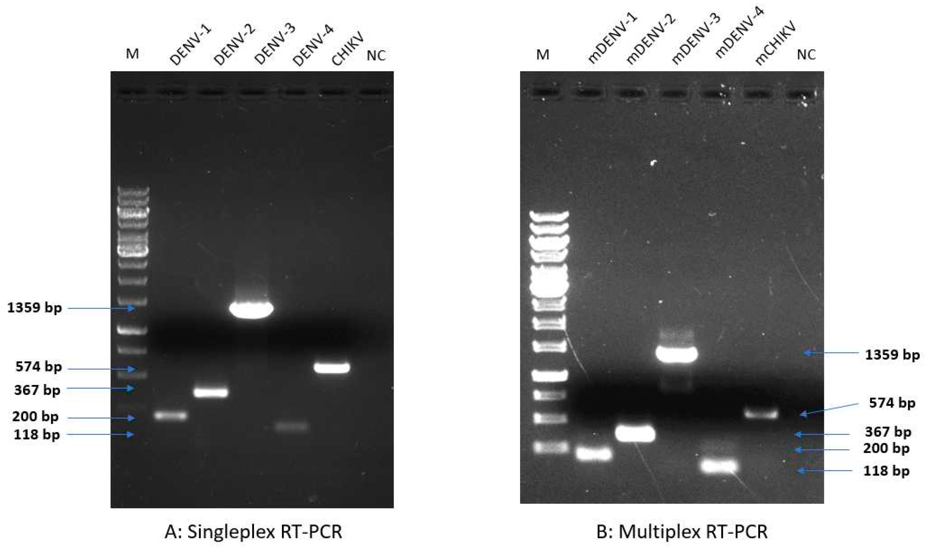 Preprints 95798 g002