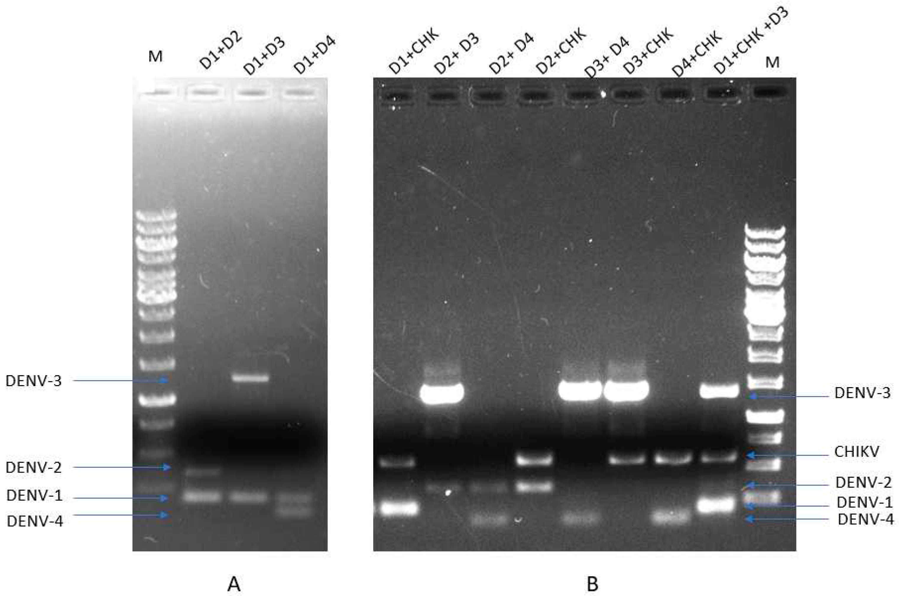 Preprints 95798 g003