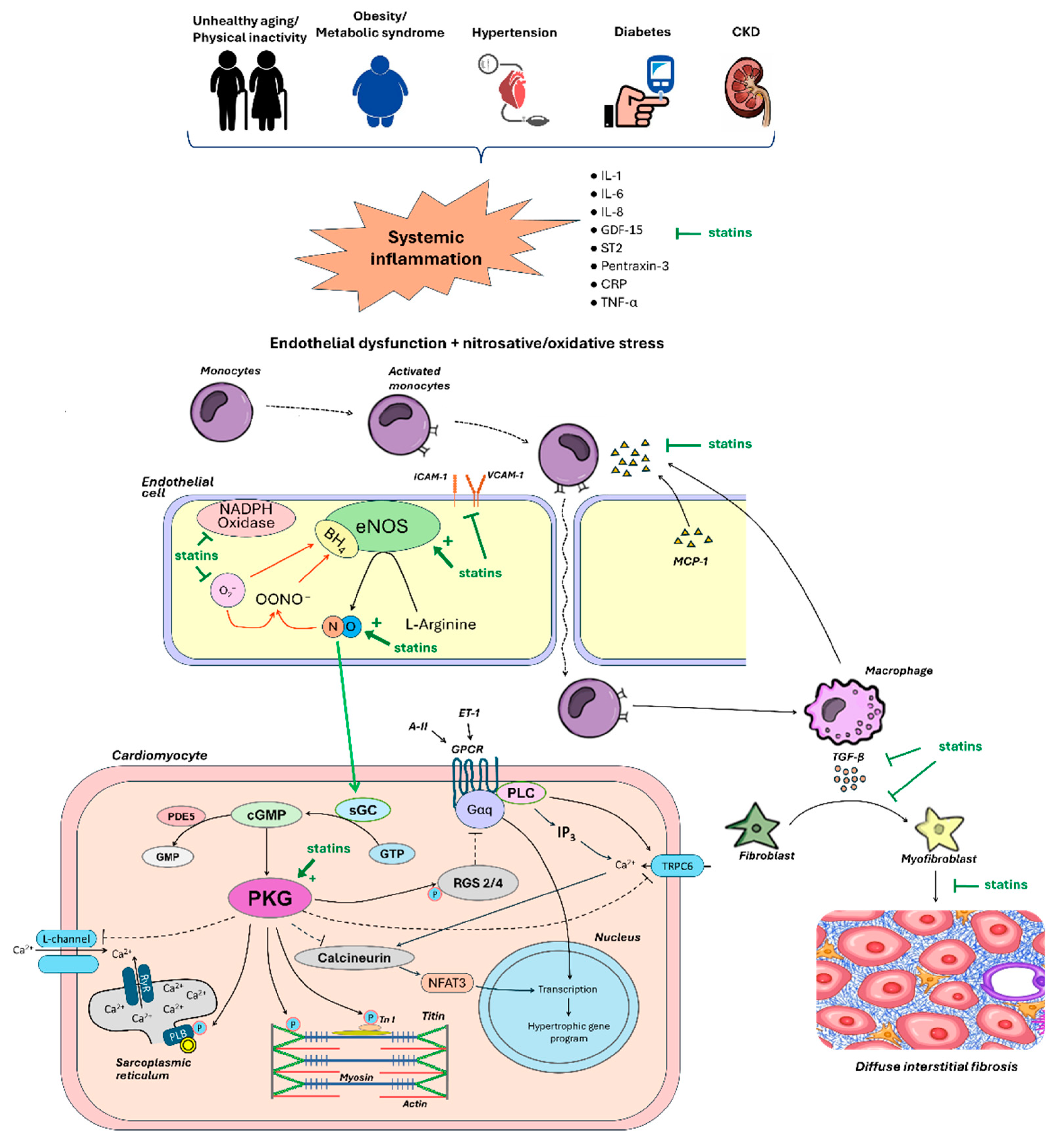 Preprints 103664 g002