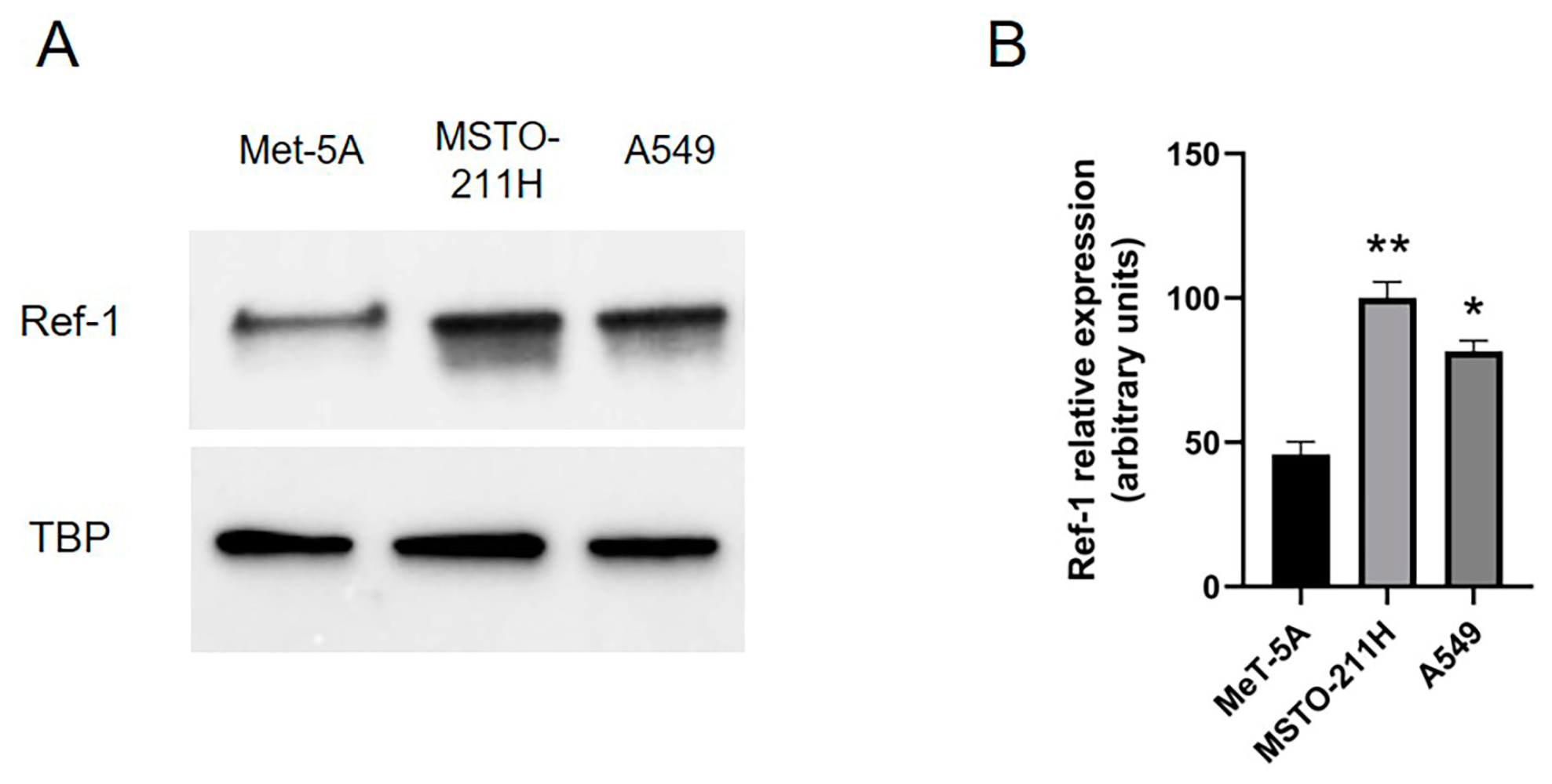 Preprints 78181 g001