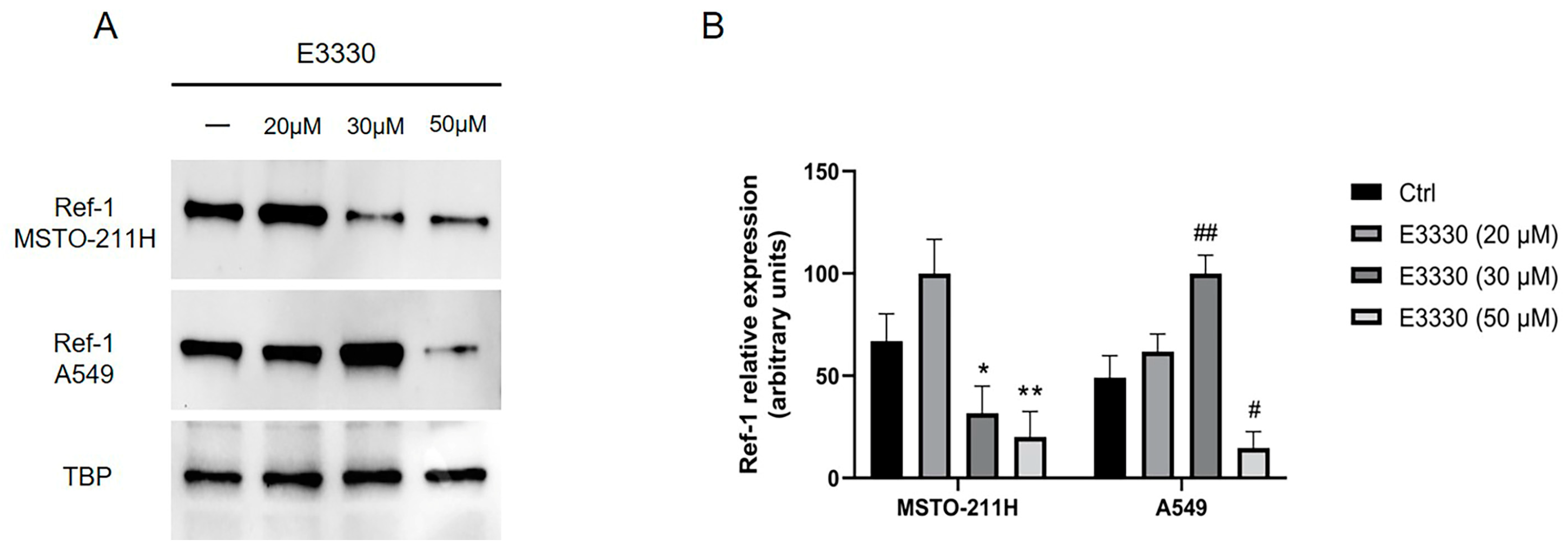 Preprints 78181 g002