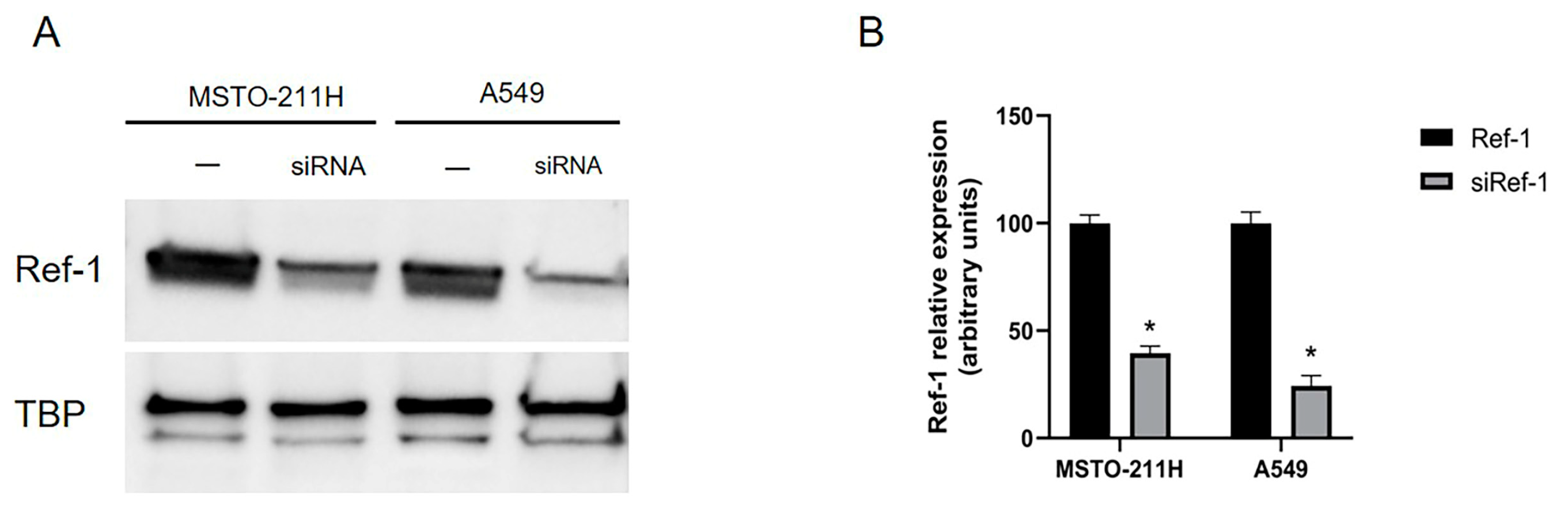 Preprints 78181 g003