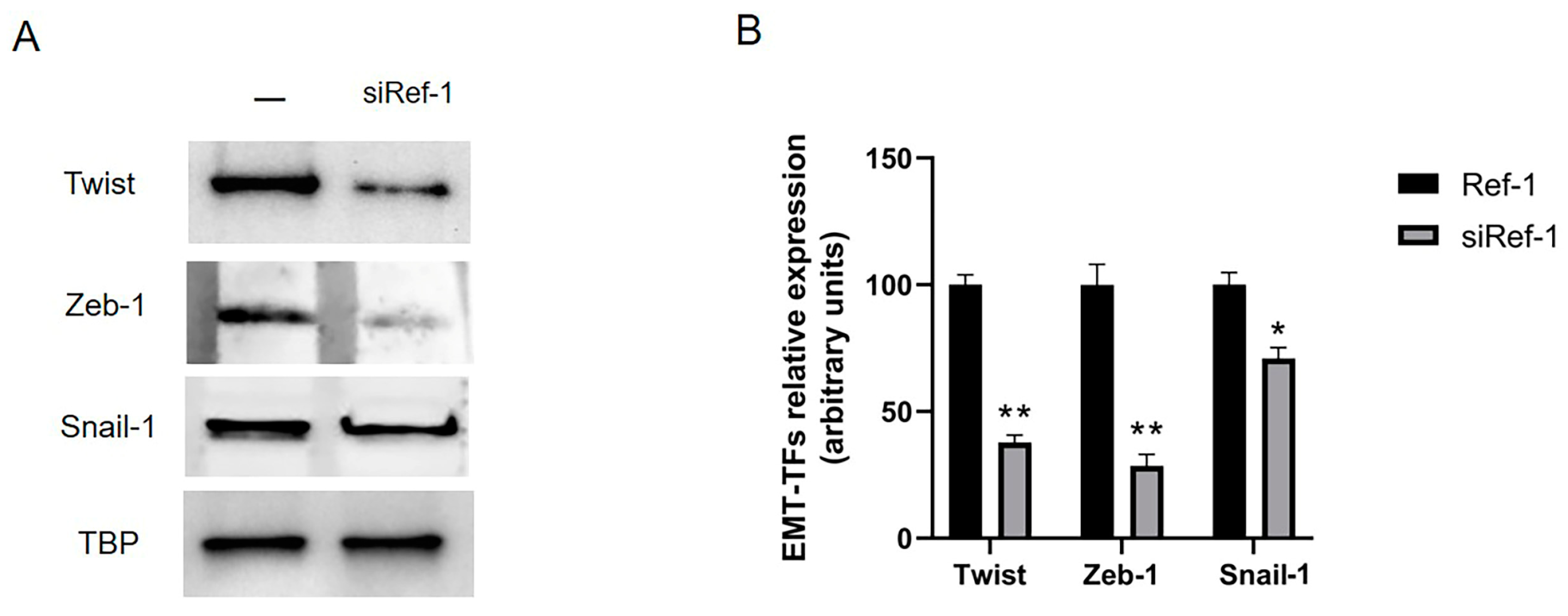 Preprints 78181 g005