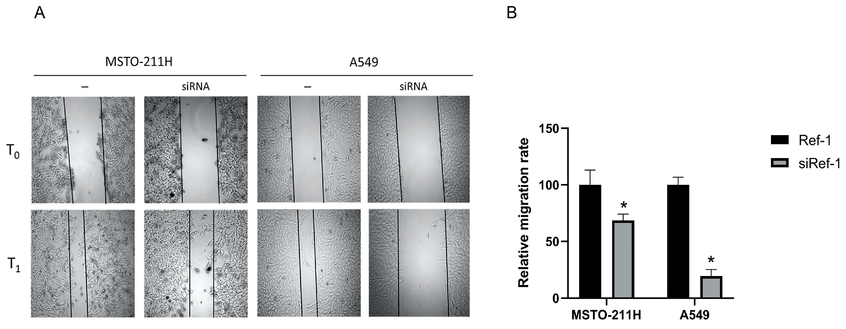 Preprints 78181 g006