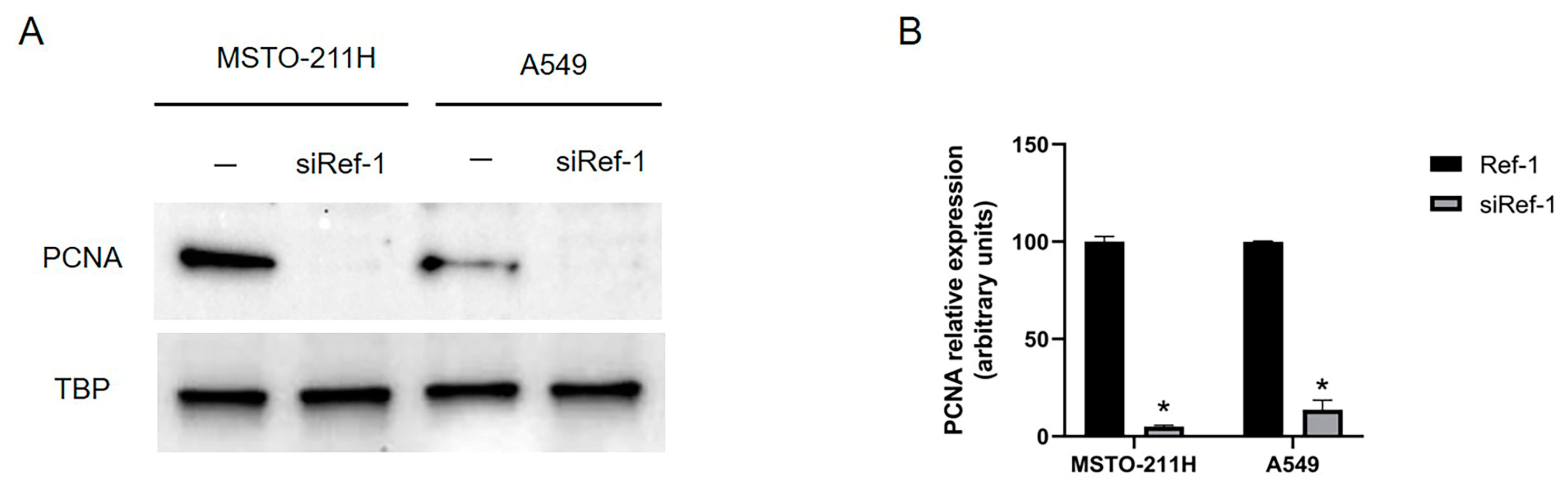 Preprints 78181 g007