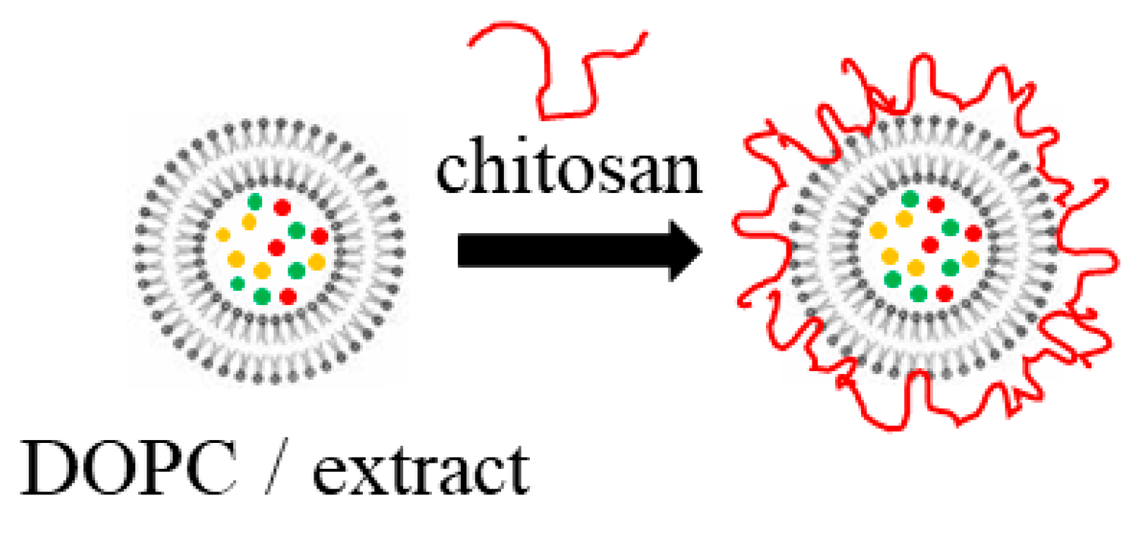 Preprints 105333 g001