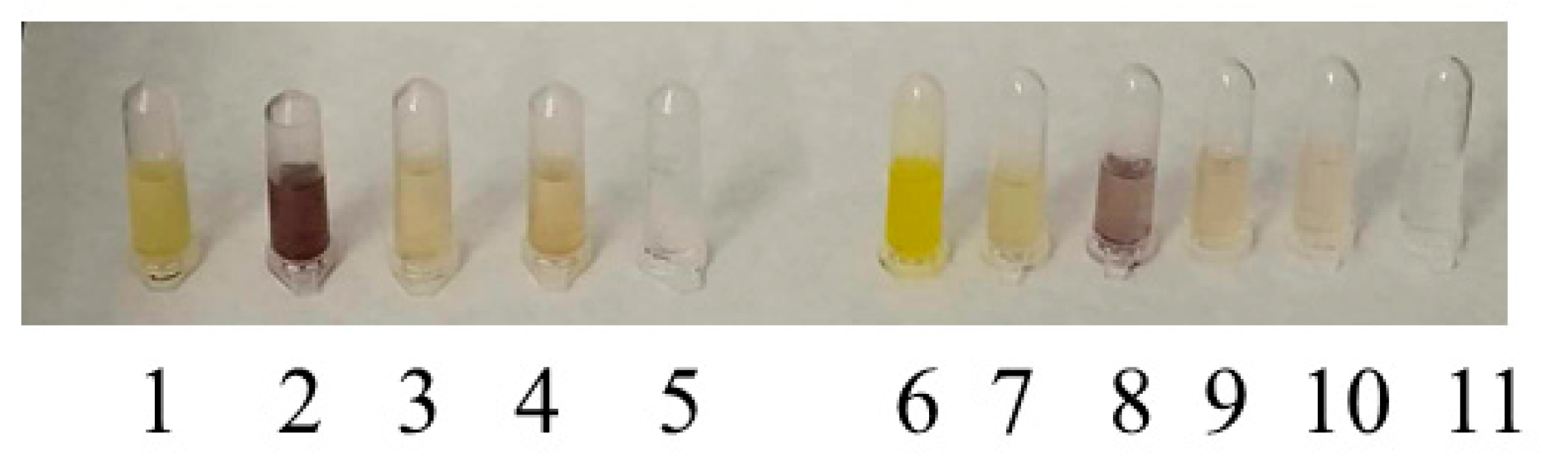 Preprints 105333 g004